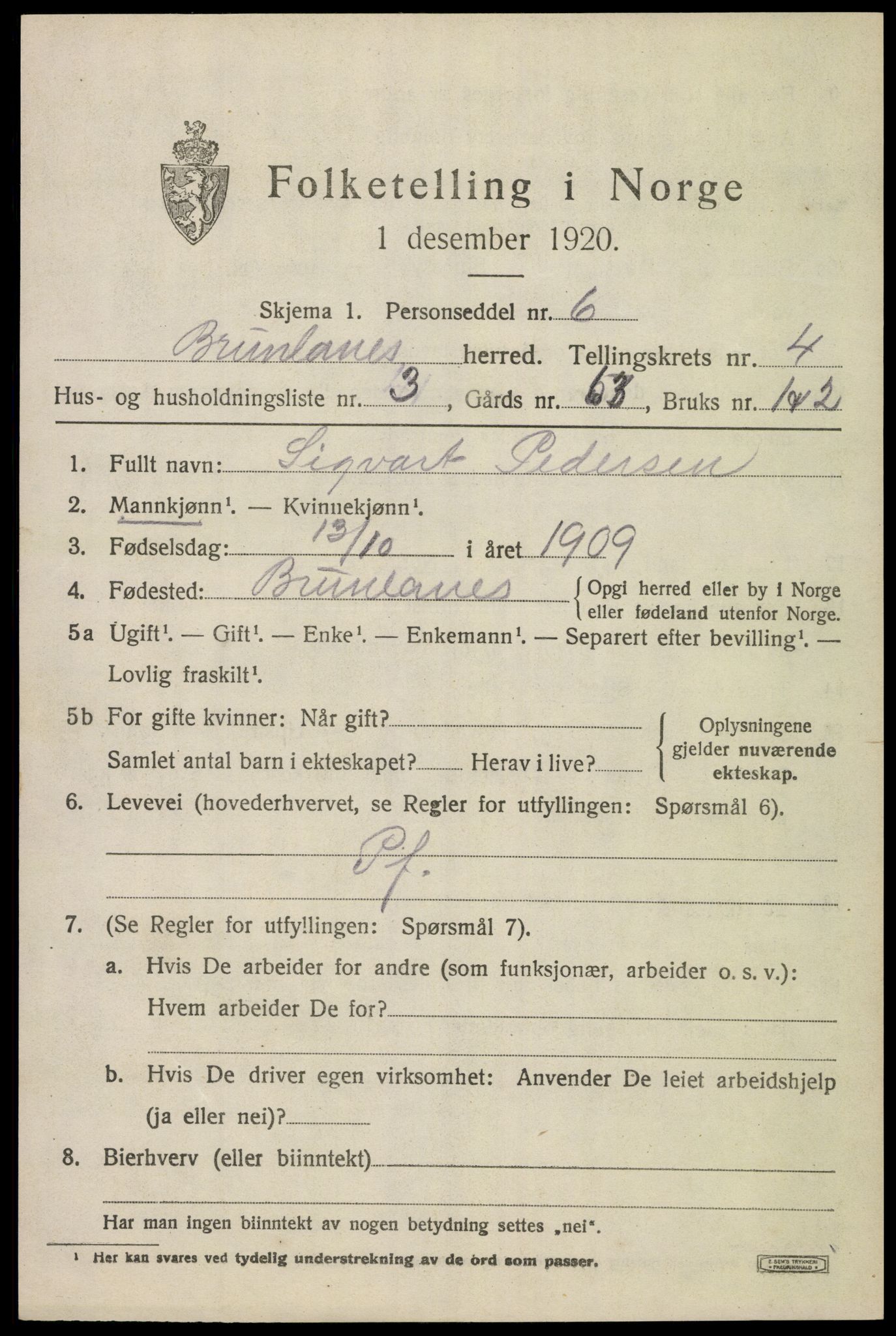 SAKO, 1920 census for Brunlanes, 1920, p. 6151