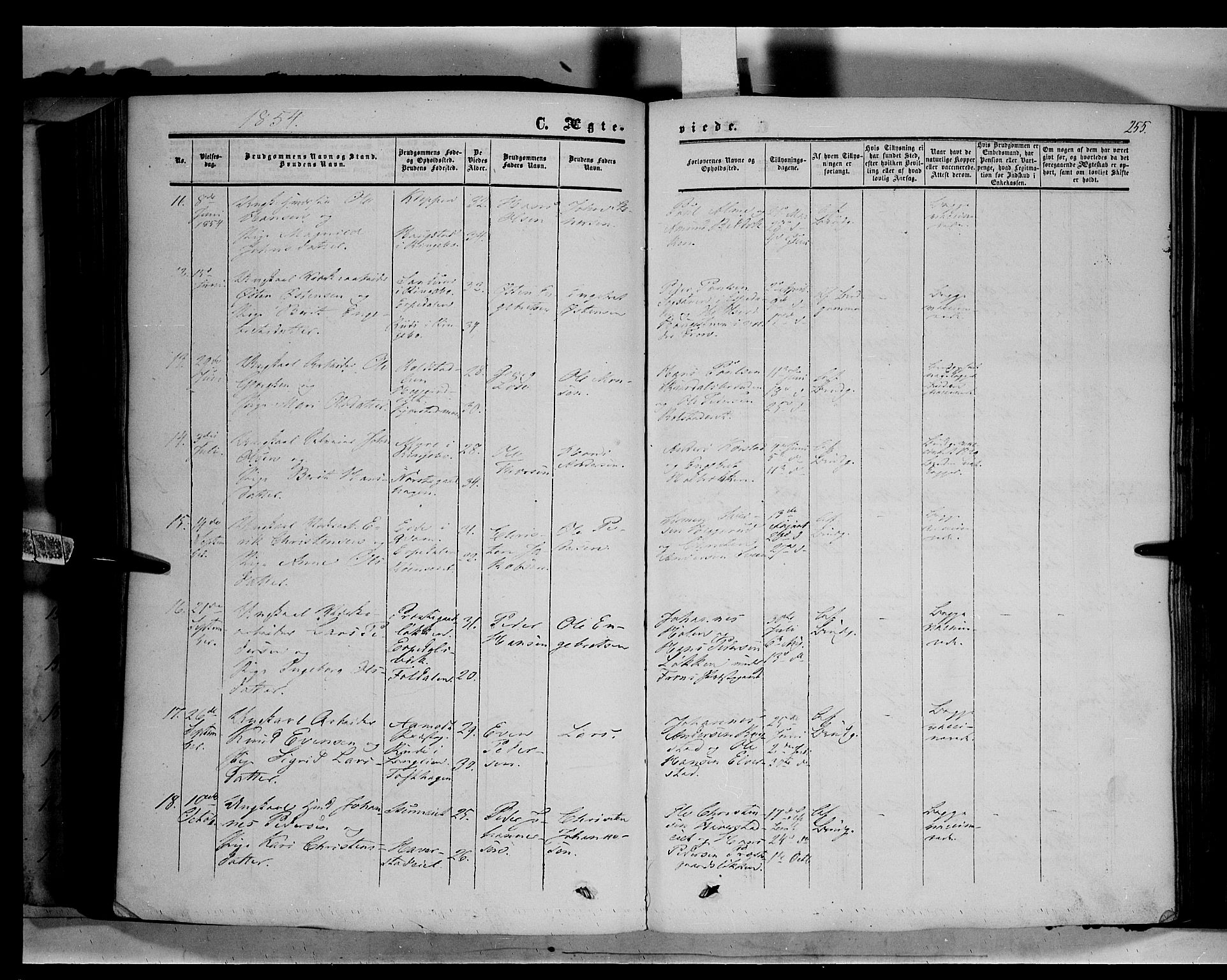 Sør-Fron prestekontor, AV/SAH-PREST-010/H/Ha/Haa/L0001: Parish register (official) no. 1, 1849-1863, p. 255