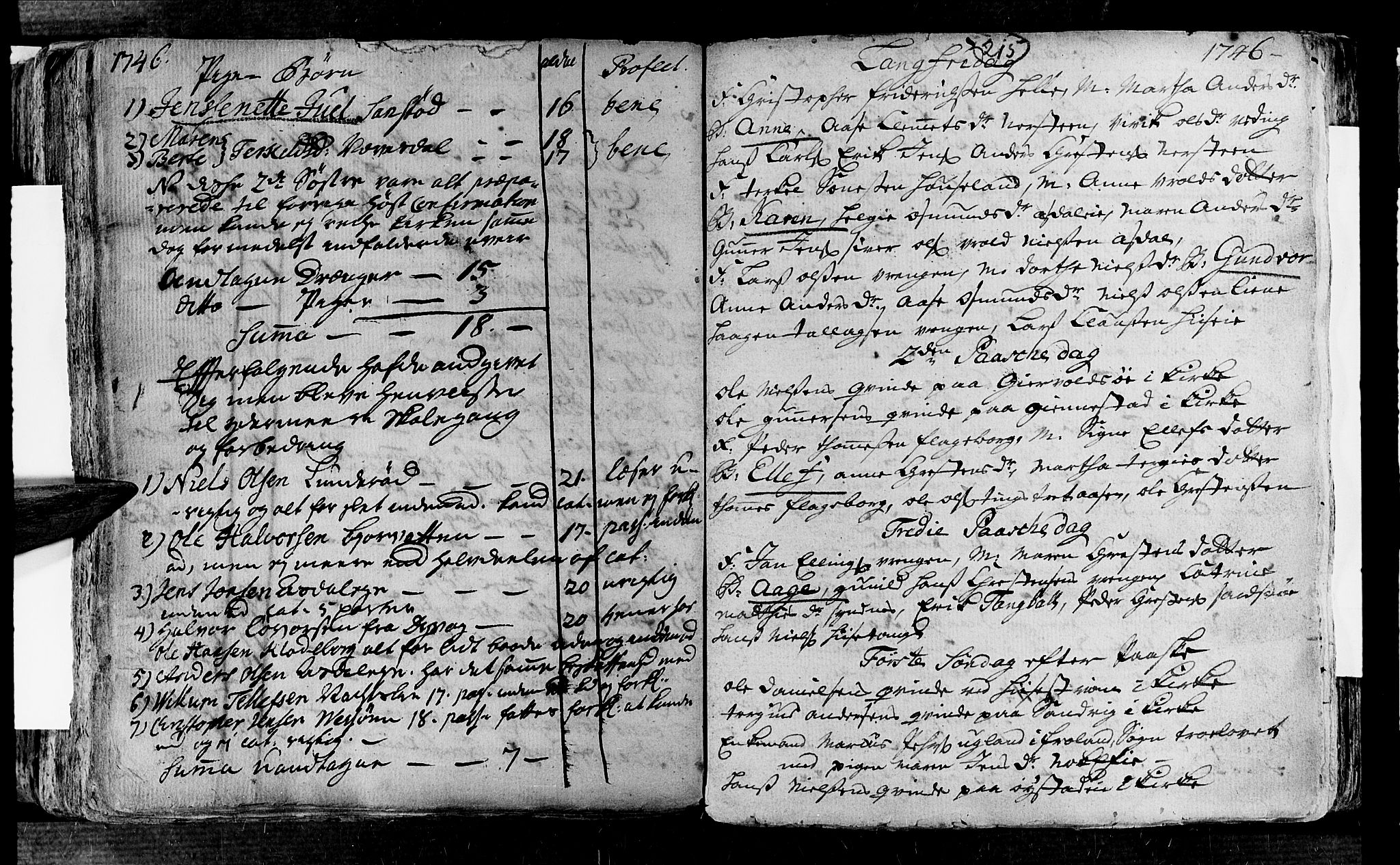 Øyestad sokneprestkontor, SAK/1111-0049/F/Fa/L0004: Parish register (official) no. A 4, 1730-1750, p. 215