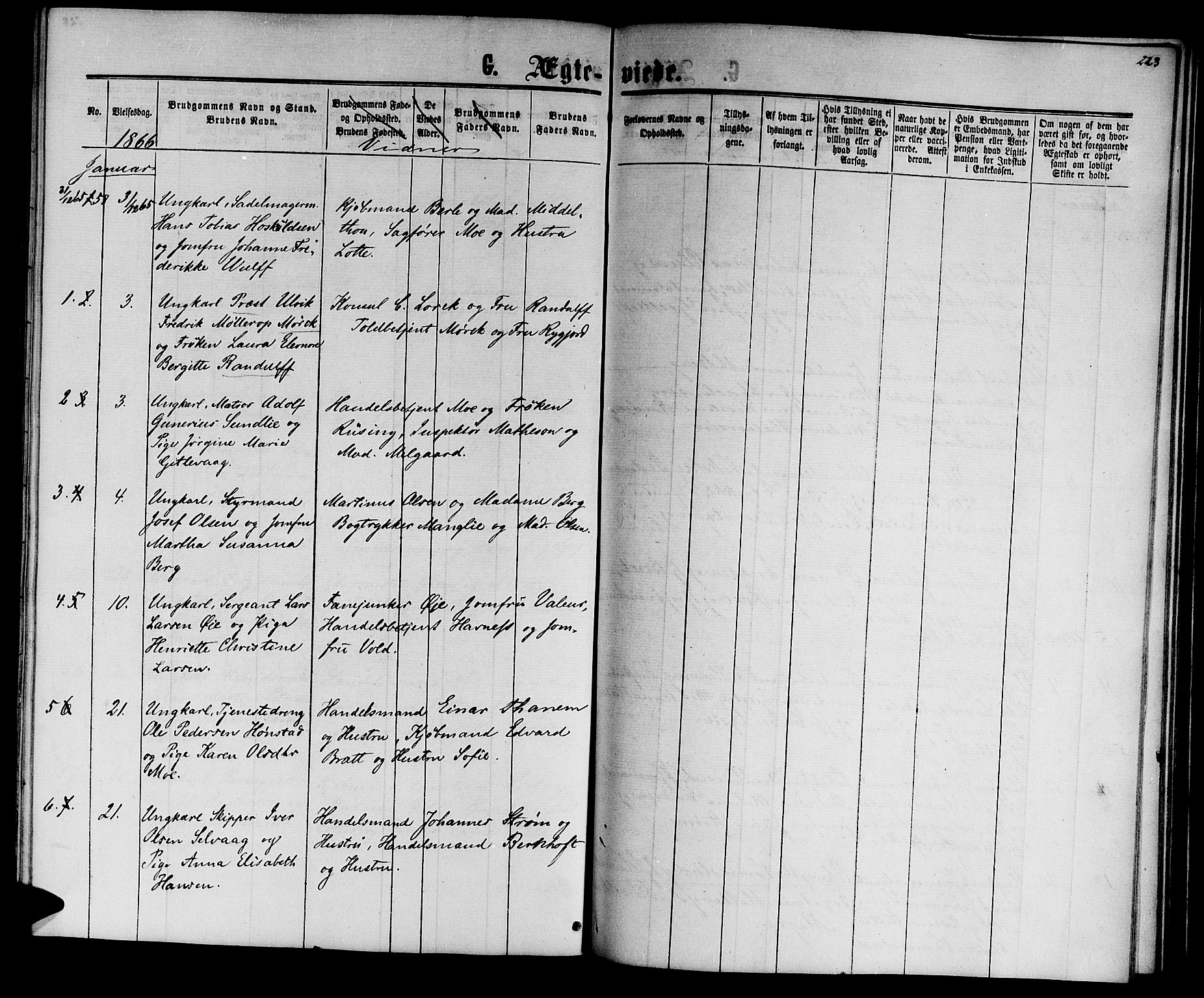 Ministerialprotokoller, klokkerbøker og fødselsregistre - Sør-Trøndelag, SAT/A-1456/601/L0087: Parish register (copy) no. 601C05, 1864-1881, p. 223