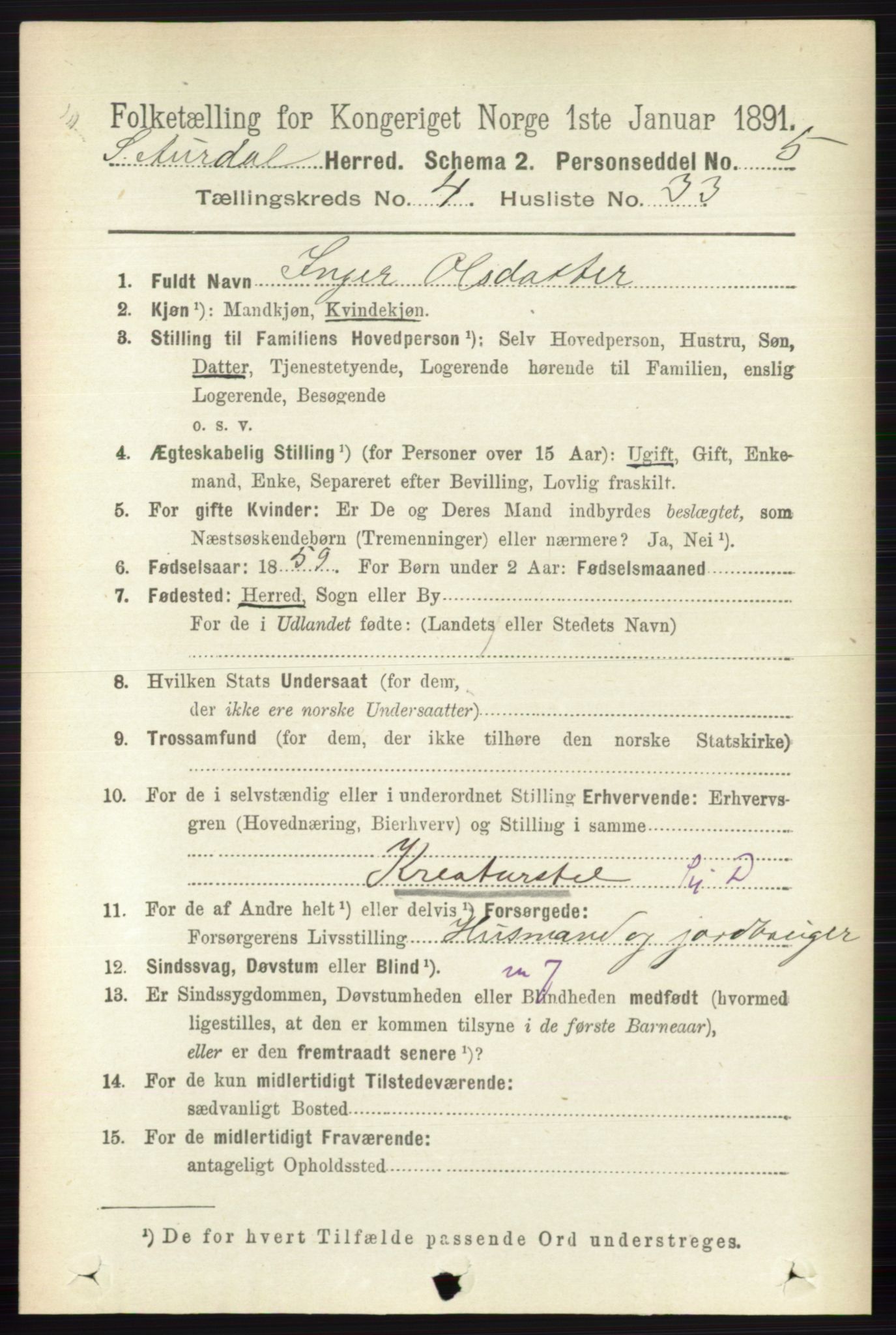 RA, 1891 census for 0540 Sør-Aurdal, 1891, p. 2924