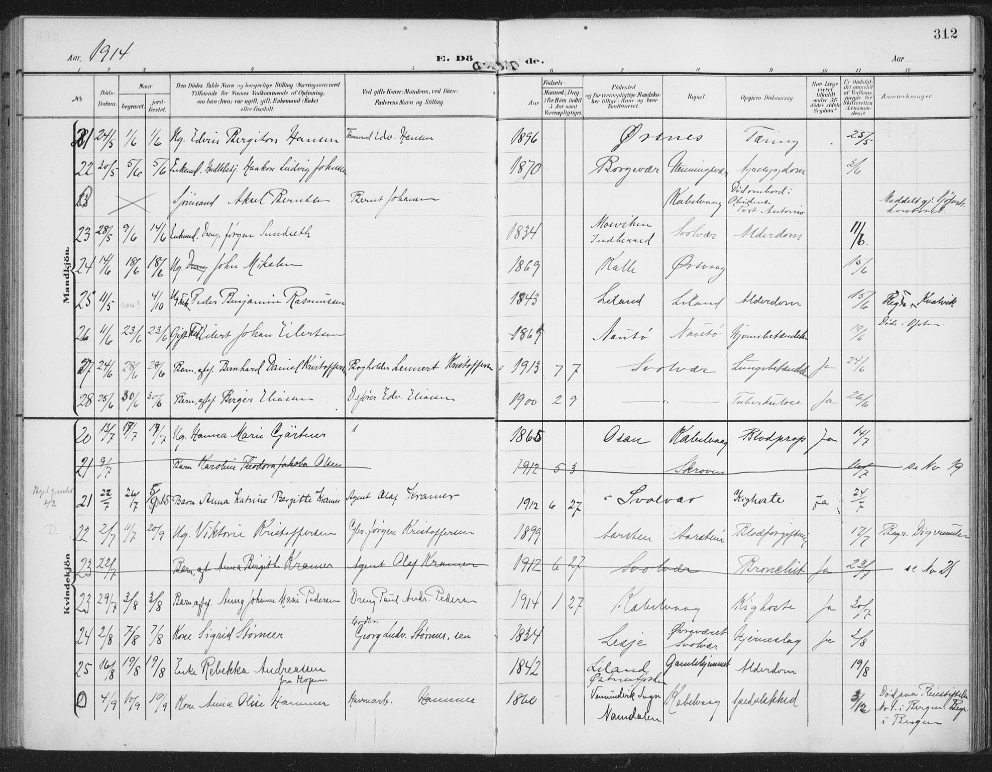 Ministerialprotokoller, klokkerbøker og fødselsregistre - Nordland, AV/SAT-A-1459/874/L1063: Parish register (official) no. 874A07, 1907-1915, p. 312