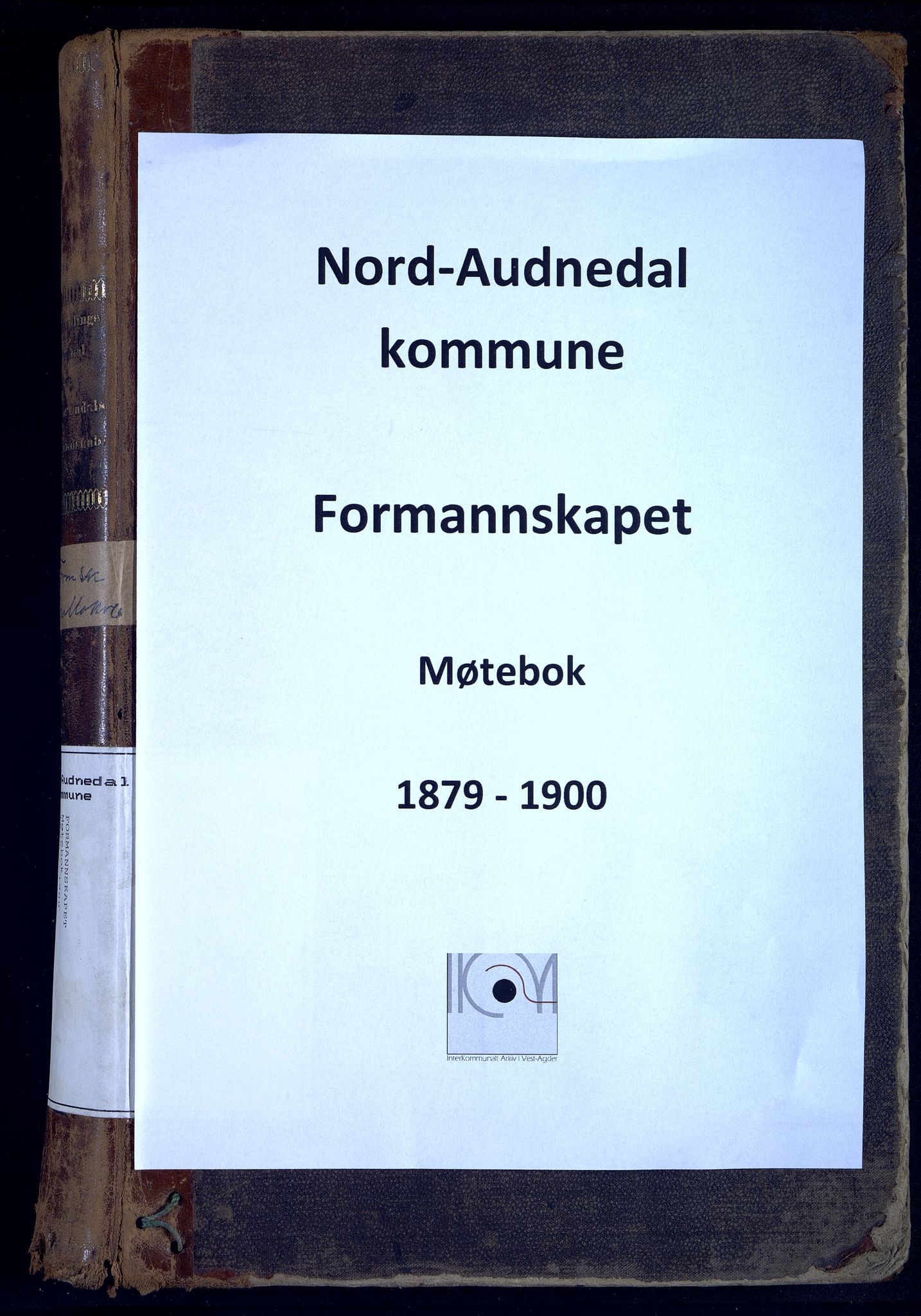 Nord-Audnedal kommune - Formannskapet, ARKSOR/1027NA120/A/L0002: Møtebok, 1879-1900