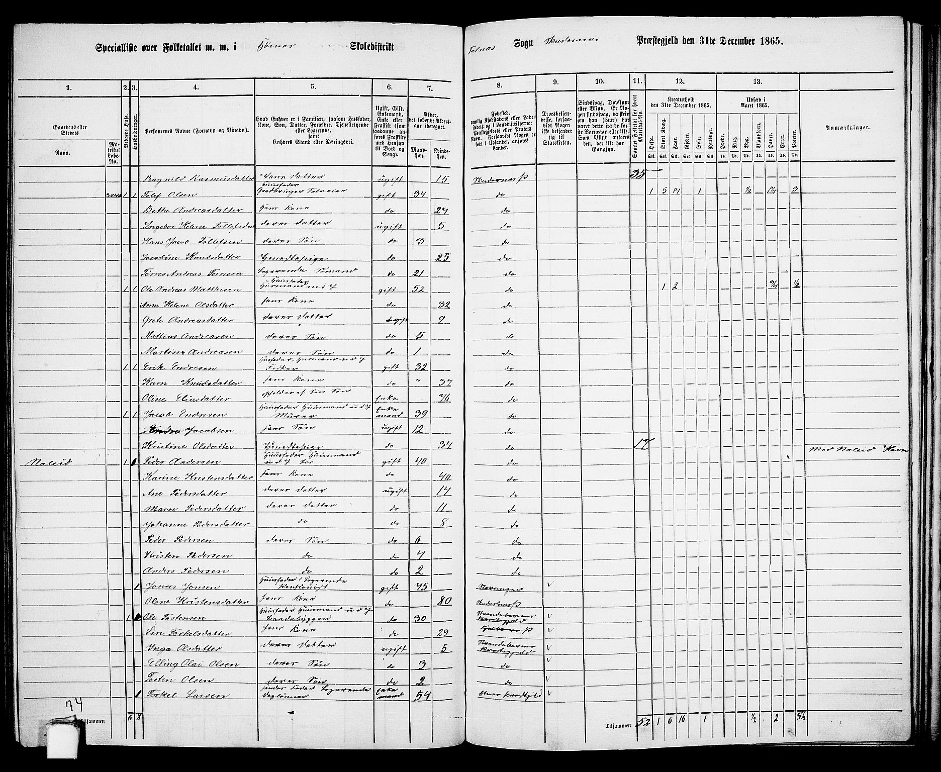 RA, 1865 census for Skudenes, 1865, p. 156