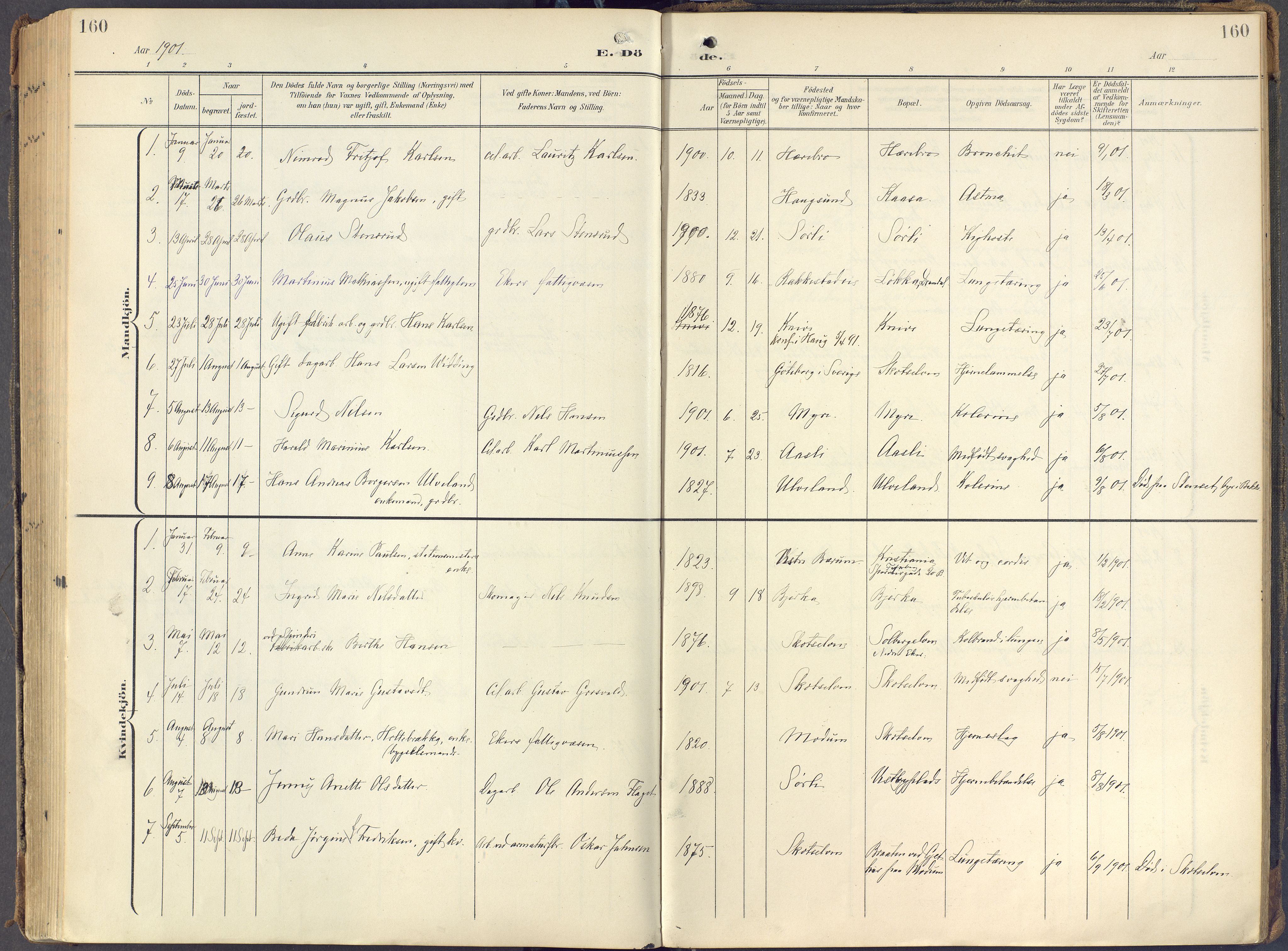 Eiker kirkebøker, AV/SAKO-A-4/F/Fc/L0004: Parish register (official) no. III 4, 1900-1919, p. 160