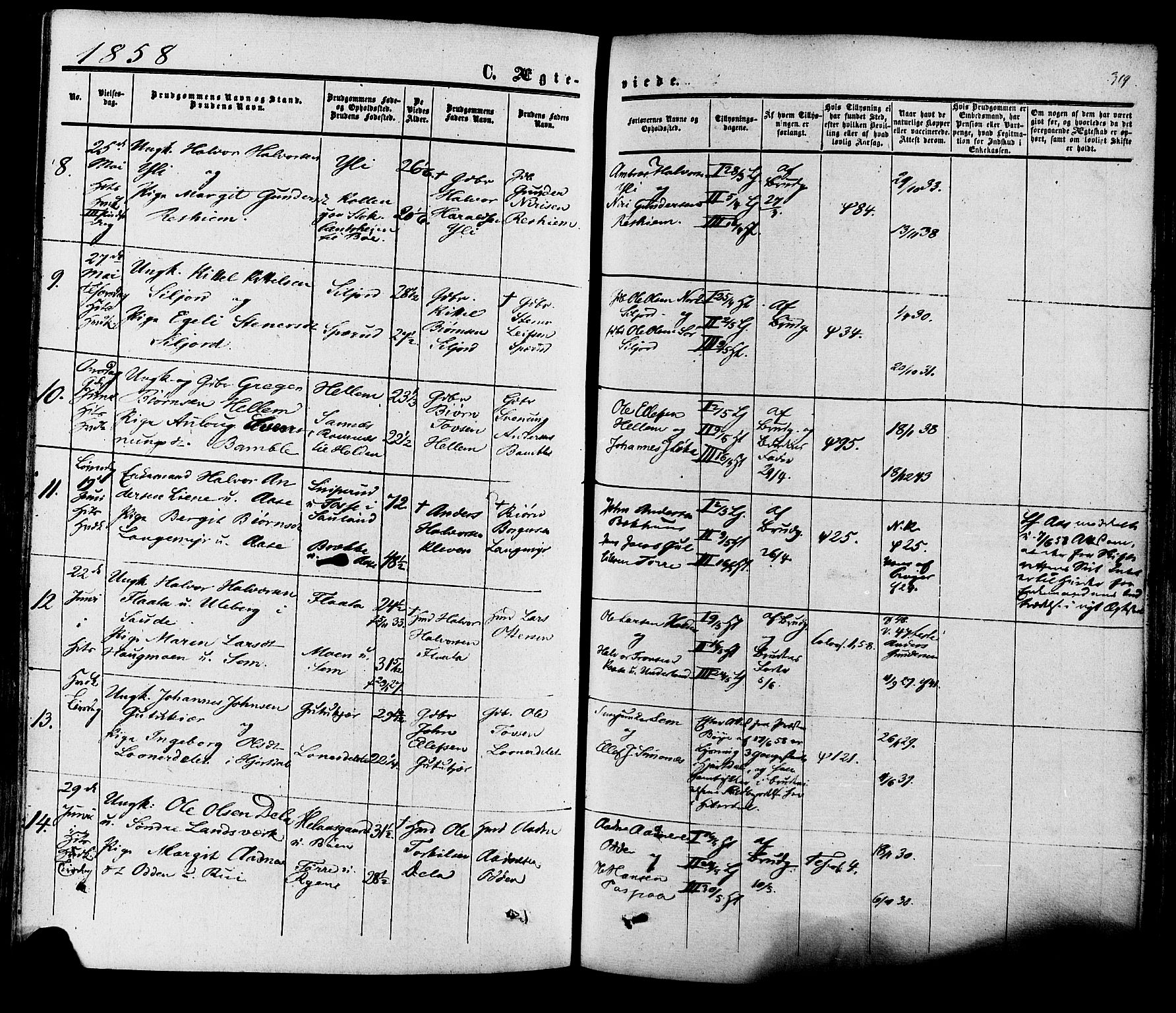 Heddal kirkebøker, SAKO/A-268/F/Fa/L0007: Parish register (official) no. I 7, 1855-1877, p. 319