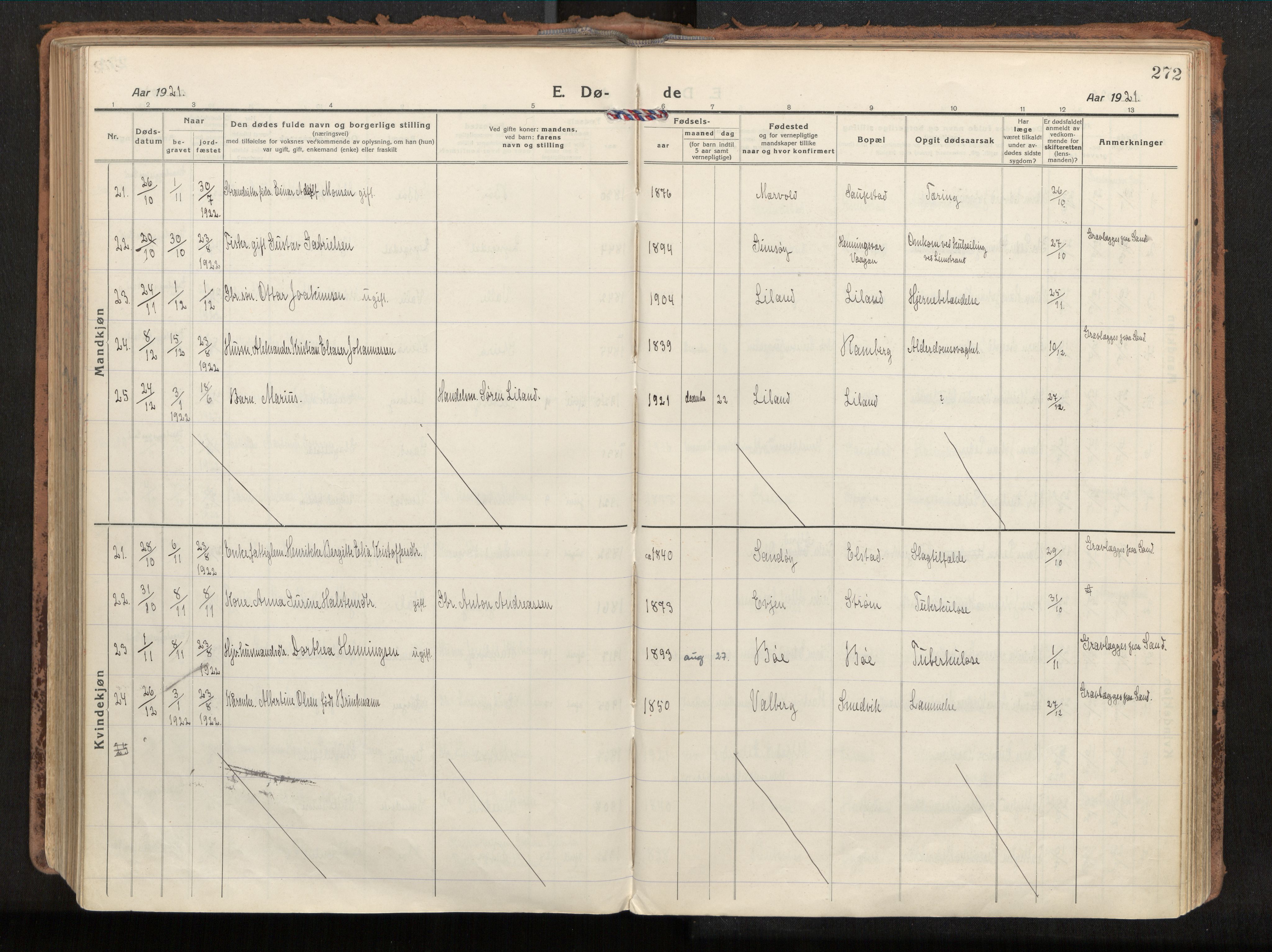 Ministerialprotokoller, klokkerbøker og fødselsregistre - Nordland, AV/SAT-A-1459/880/L1136: Parish register (official) no. 880A10, 1919-1927, p. 272