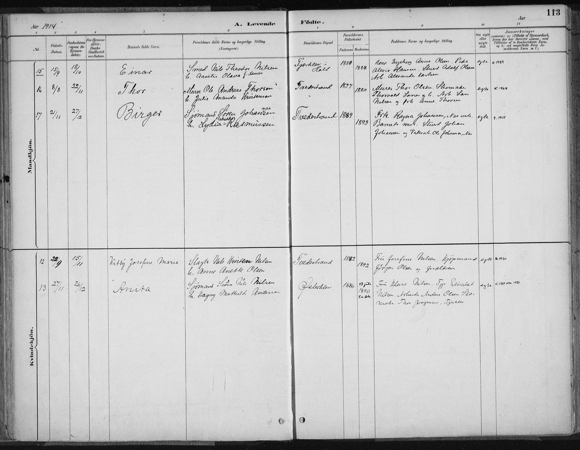 Tvedestrand sokneprestkontor, AV/SAK-1111-0042/F/Fa/L0001: Parish register (official) no. A 1, 1885-1916, p. 113