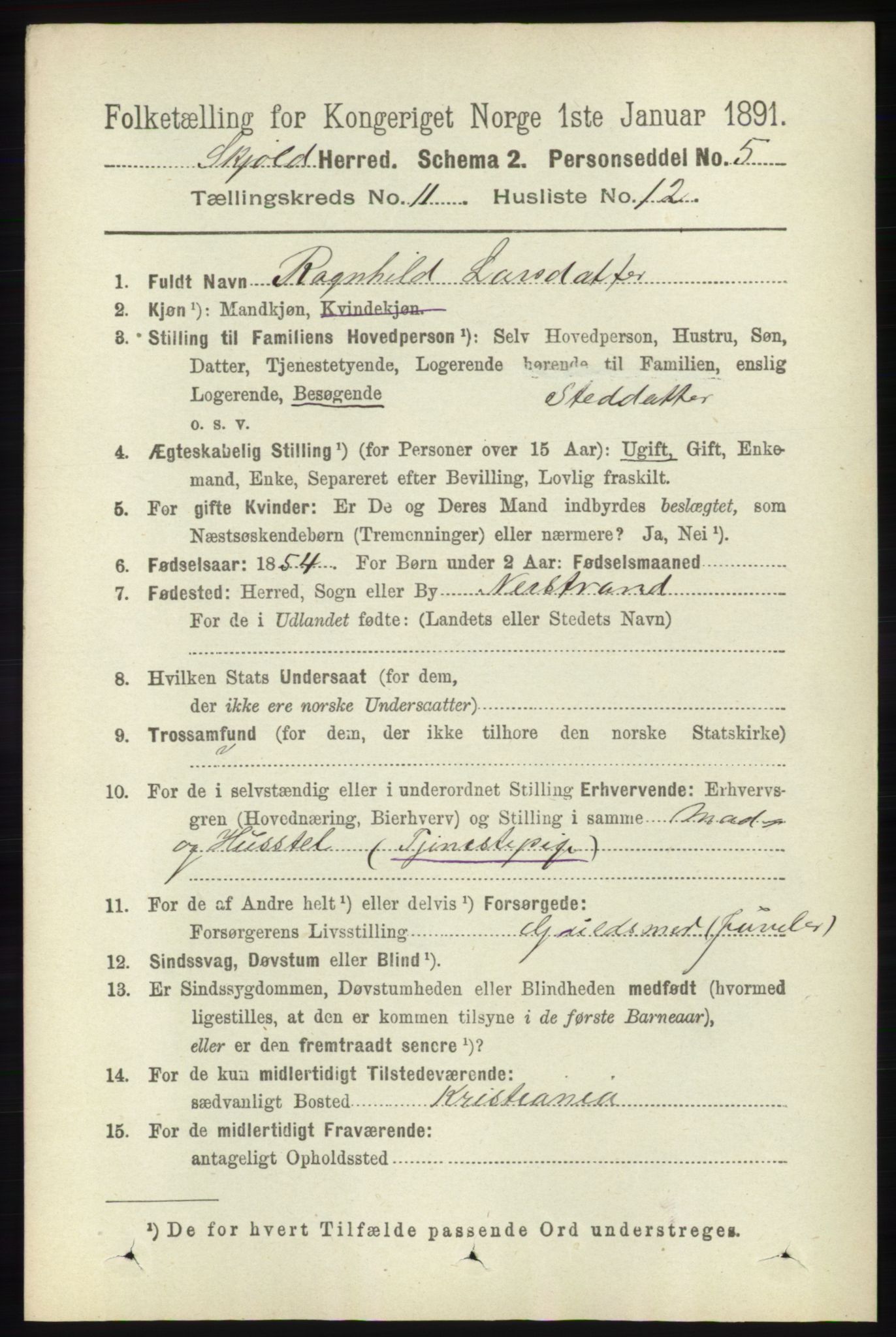 RA, 1891 census for 1154 Skjold, 1891, p. 2125