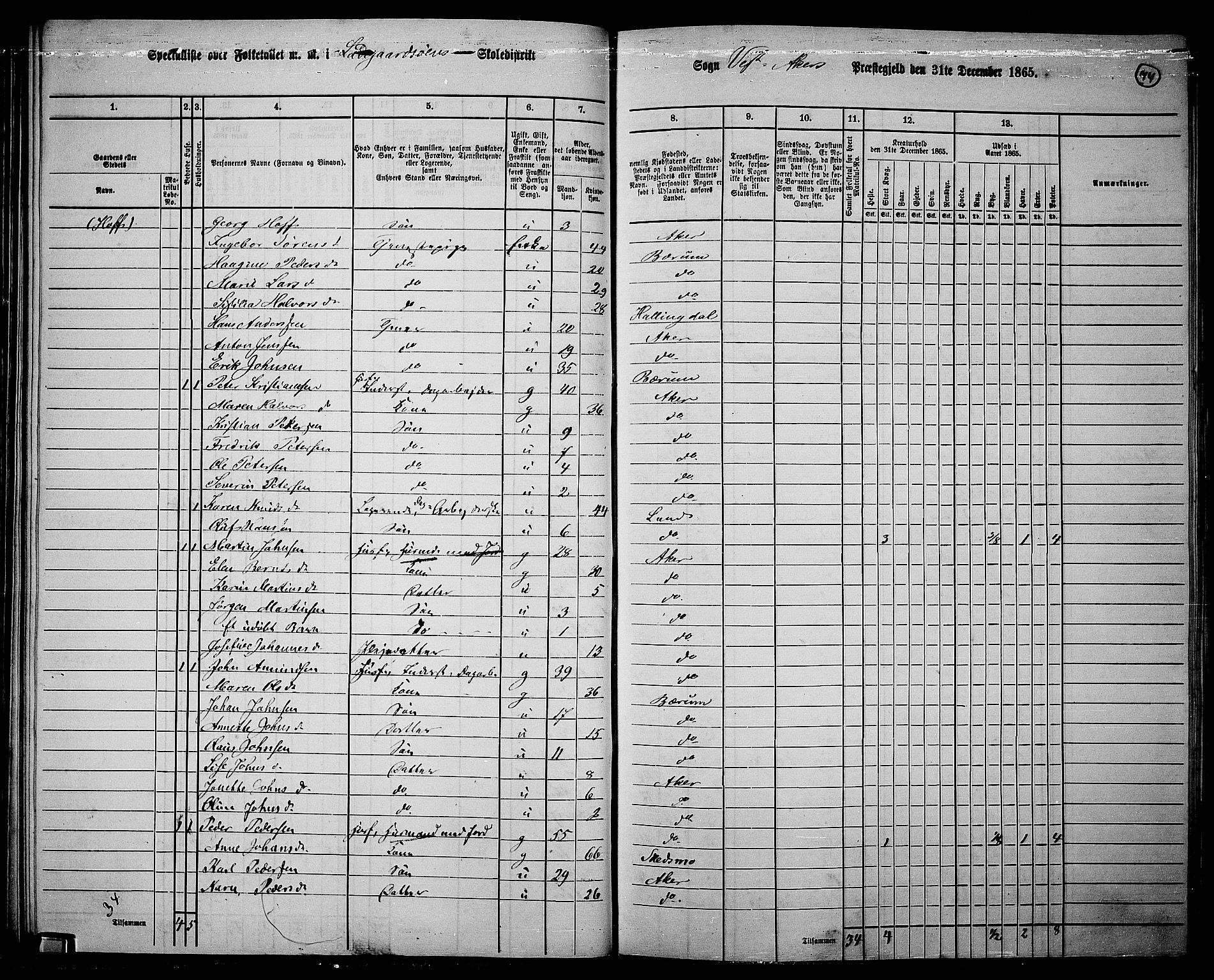 RA, 1865 census for Vestre Aker, 1865, p. 71