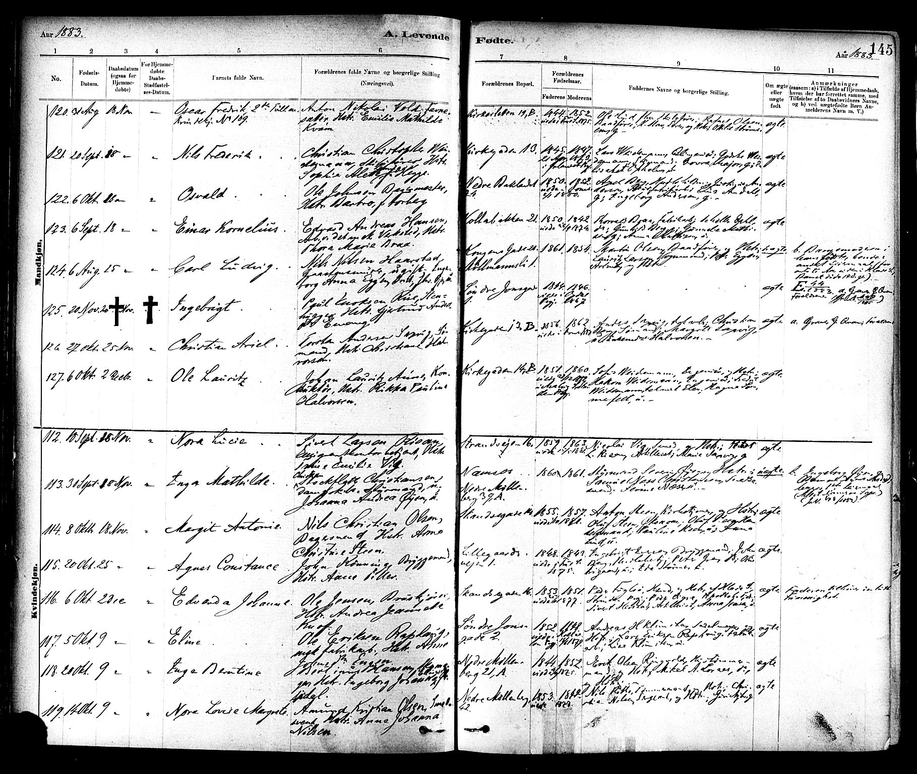 Ministerialprotokoller, klokkerbøker og fødselsregistre - Sør-Trøndelag, AV/SAT-A-1456/604/L0188: Parish register (official) no. 604A09, 1878-1892, p. 145