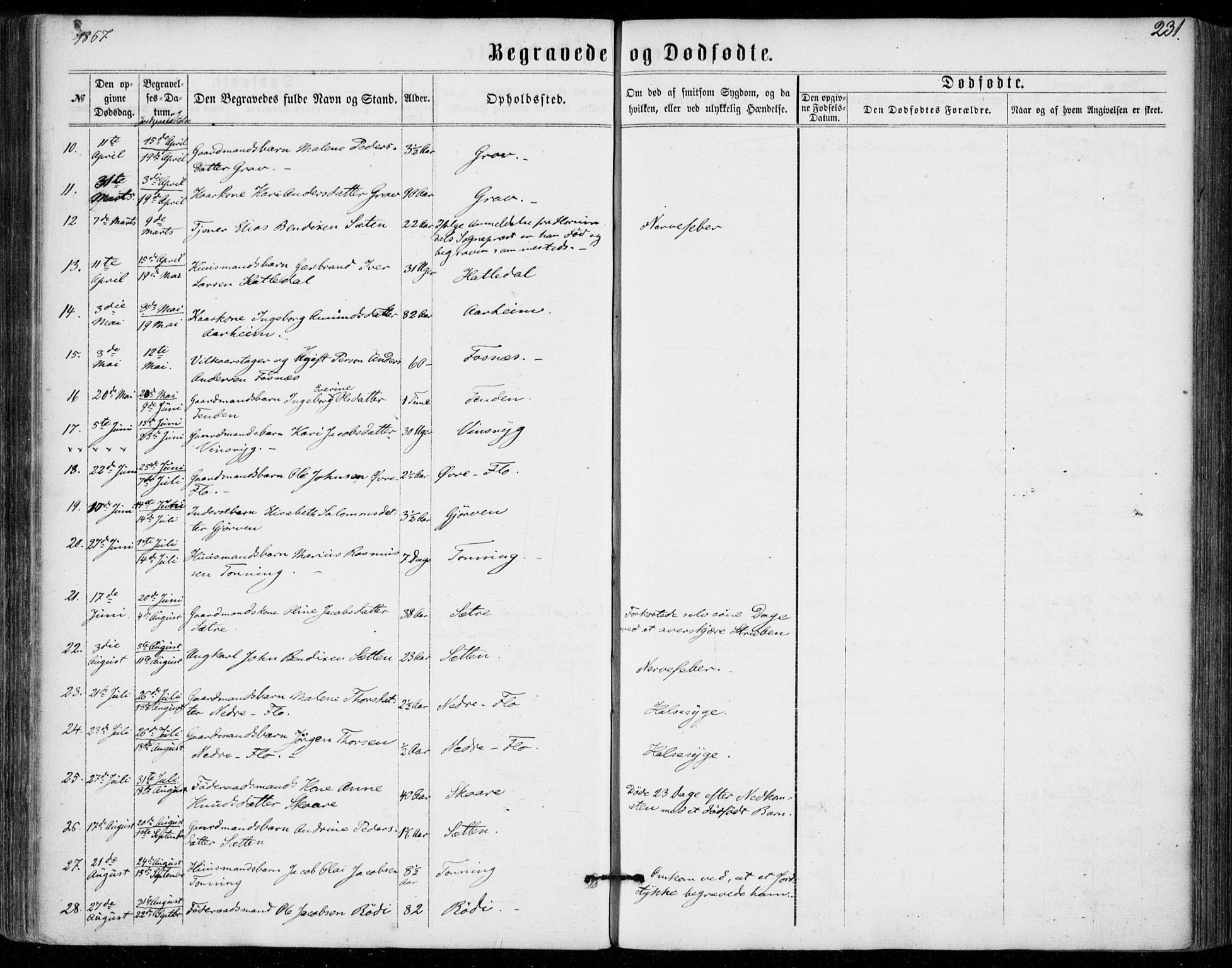 Stryn Sokneprestembete, SAB/A-82501: Parish register (official) no. A 3, 1862-1877, p. 231