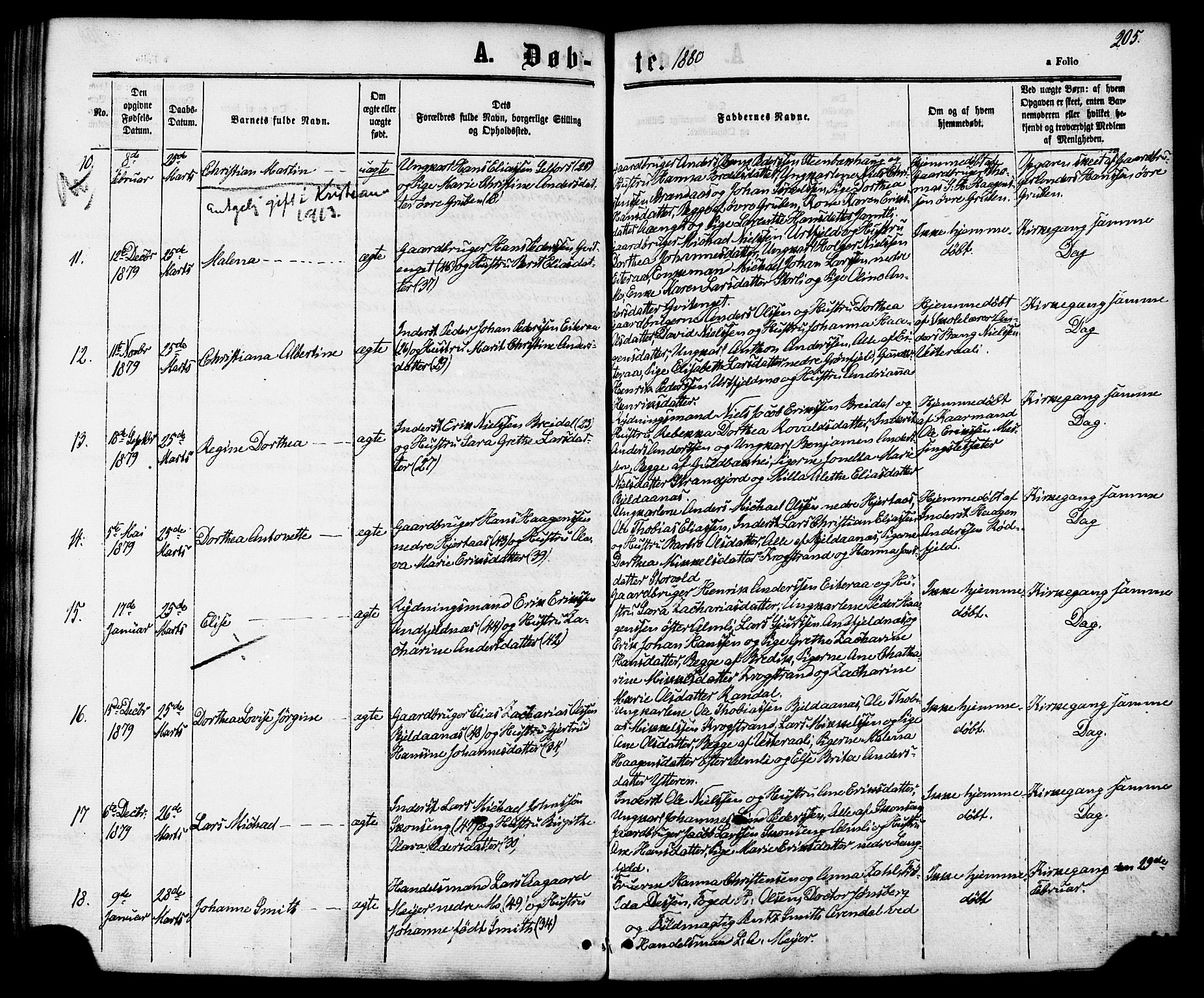 Ministerialprotokoller, klokkerbøker og fødselsregistre - Nordland, AV/SAT-A-1459/827/L0393: Parish register (official) no. 827A05, 1863-1883, p. 205