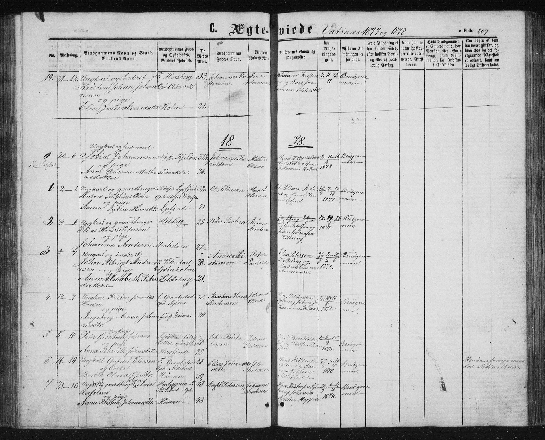 Ministerialprotokoller, klokkerbøker og fødselsregistre - Nordland, AV/SAT-A-1459/810/L0158: Parish register (copy) no. 810C02 /1, 1863-1883, p. 207