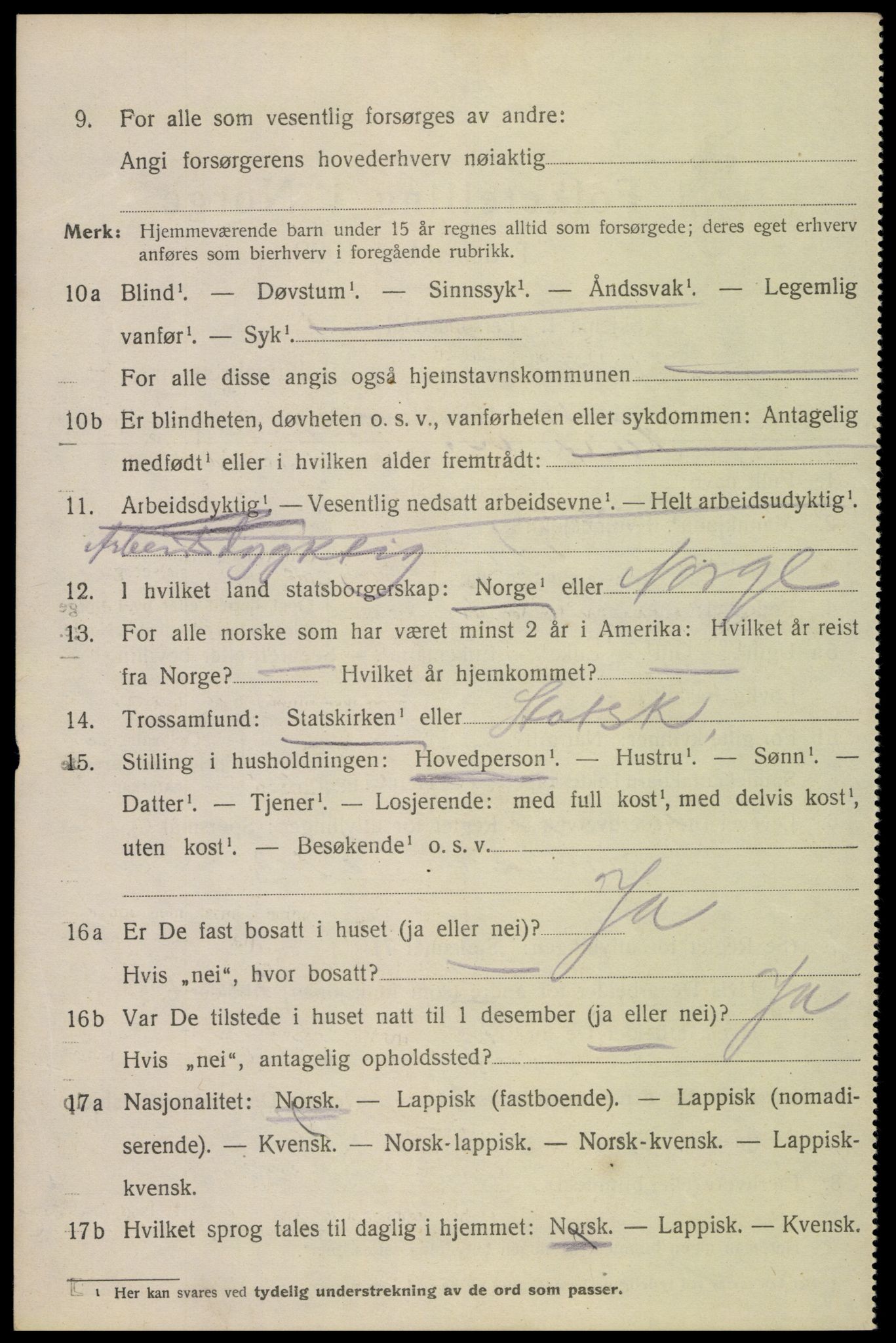 SAT, 1920 census for Narvik, 1920, p. 11735