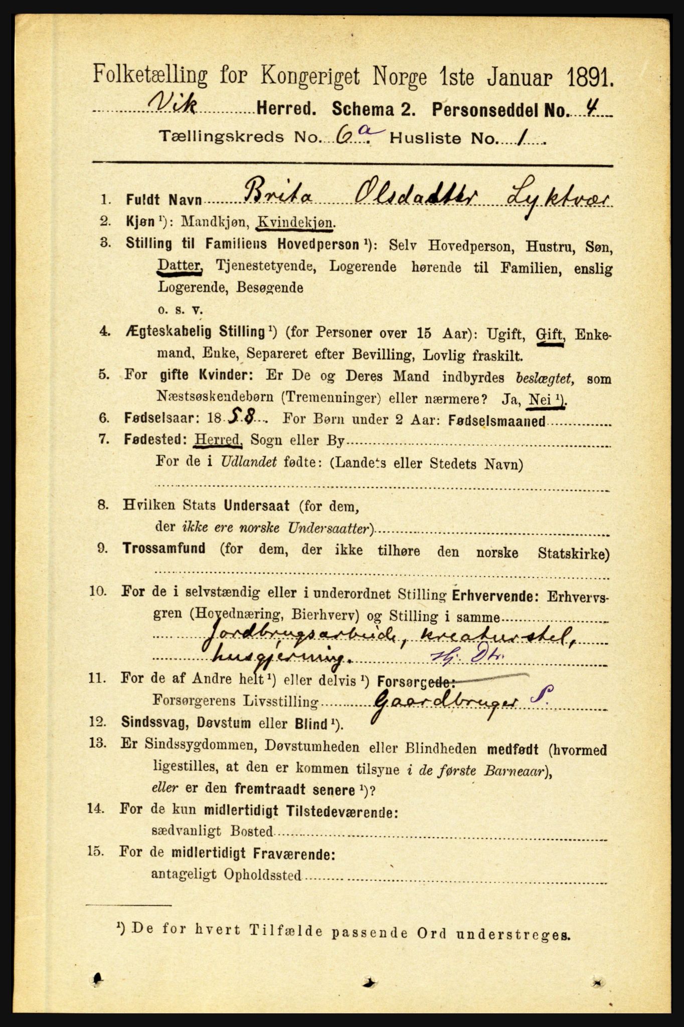 RA, 1891 census for 1417 Vik, 1891, p. 2816