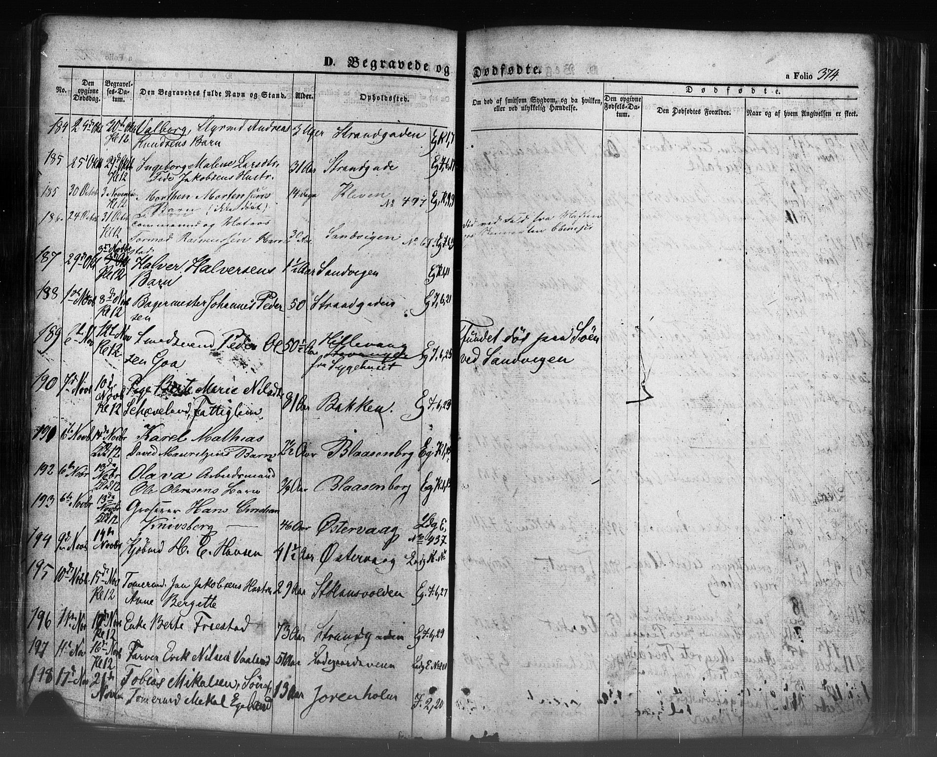 Domkirken sokneprestkontor, AV/SAST-A-101812/001/30/30BB/L0009: Parish register (copy) no. B 9, 1850-1858, p. 374