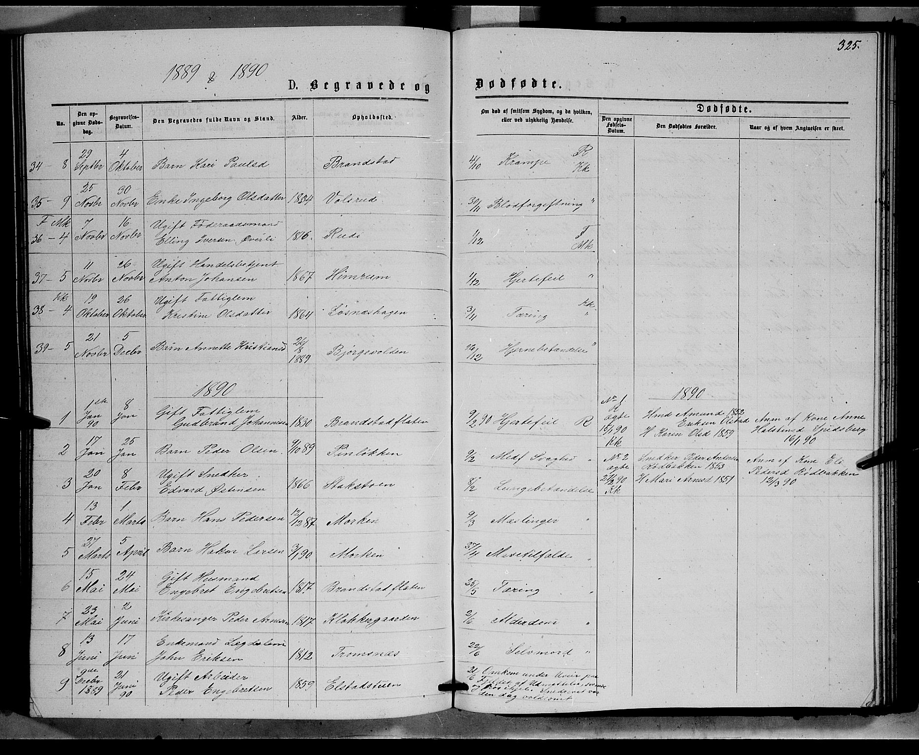 Ringebu prestekontor, SAH/PREST-082/H/Ha/Hab/L0006: Parish register (copy) no. 6, 1880-1898, p. 325
