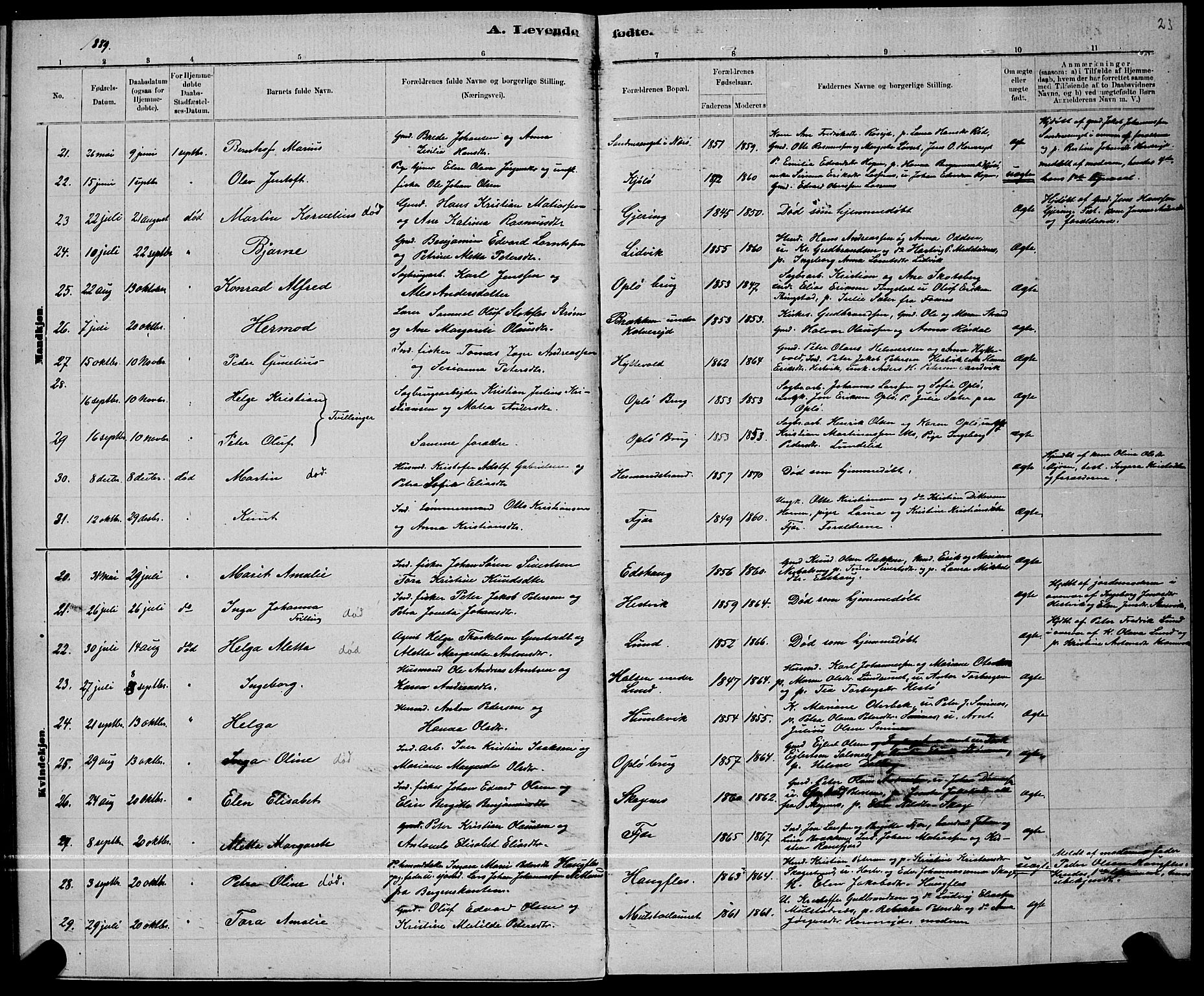 Ministerialprotokoller, klokkerbøker og fødselsregistre - Nord-Trøndelag, AV/SAT-A-1458/780/L0651: Parish register (copy) no. 780C03, 1884-1898, p. 23