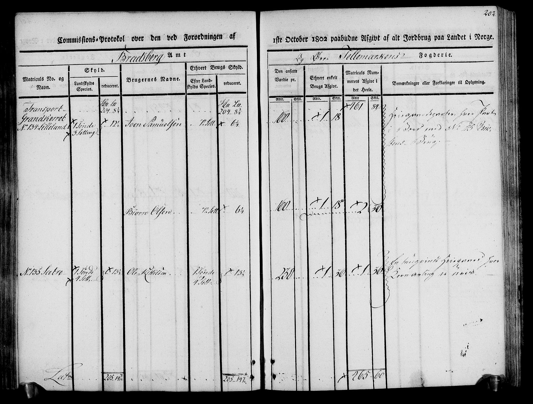 Rentekammeret inntil 1814, Realistisk ordnet avdeling, AV/RA-EA-4070/N/Ne/Nea/L0074: Øvre Telemarken fogderi. Kommisjonsprotokoll for fogderiets østre del - Tinn, Hjartdal og Seljord prestegjeld., 1803, p. 202