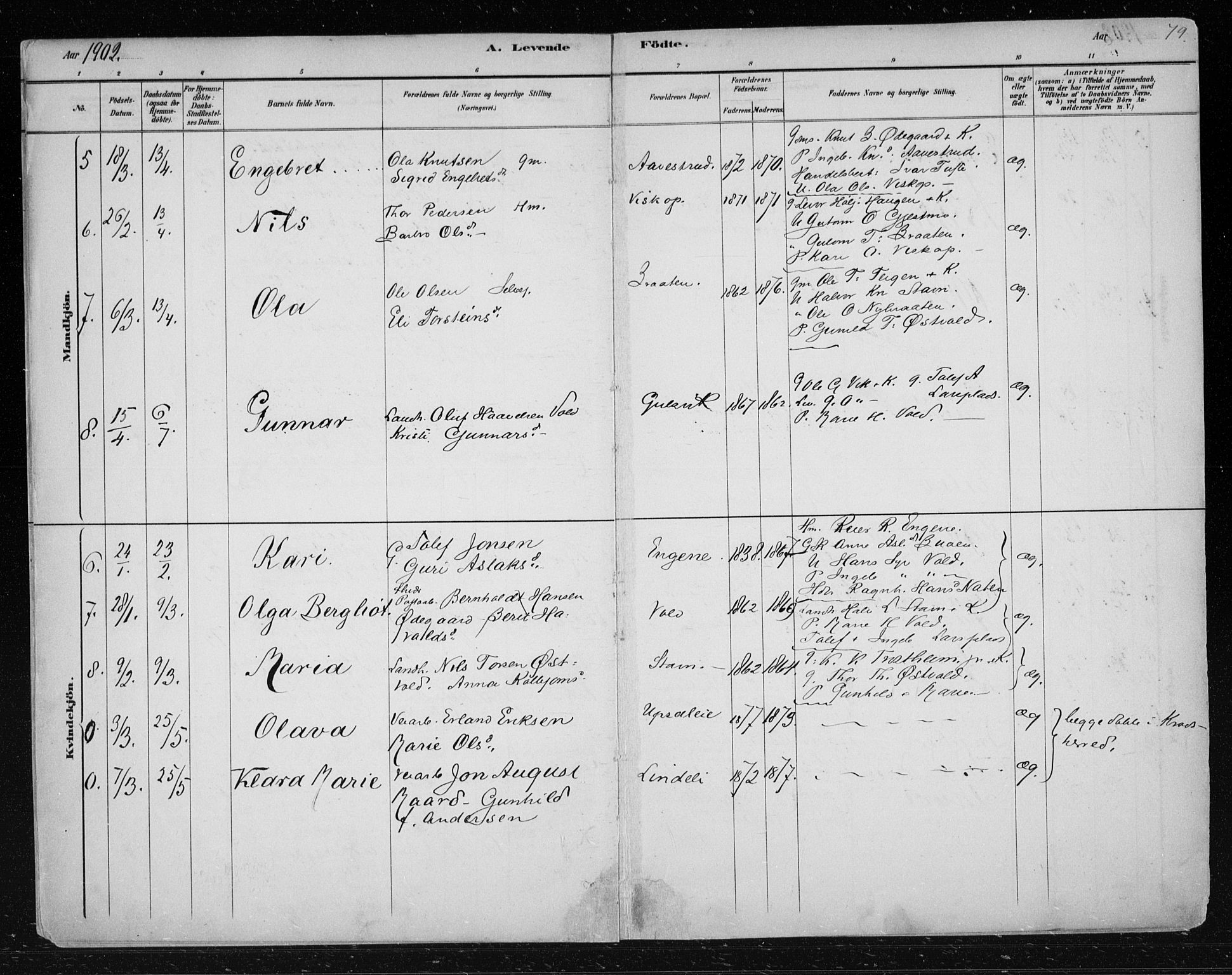 Nes kirkebøker, AV/SAKO-A-236/F/Fa/L0012: Parish register (official) no. 12, 1881-1917, p. 79