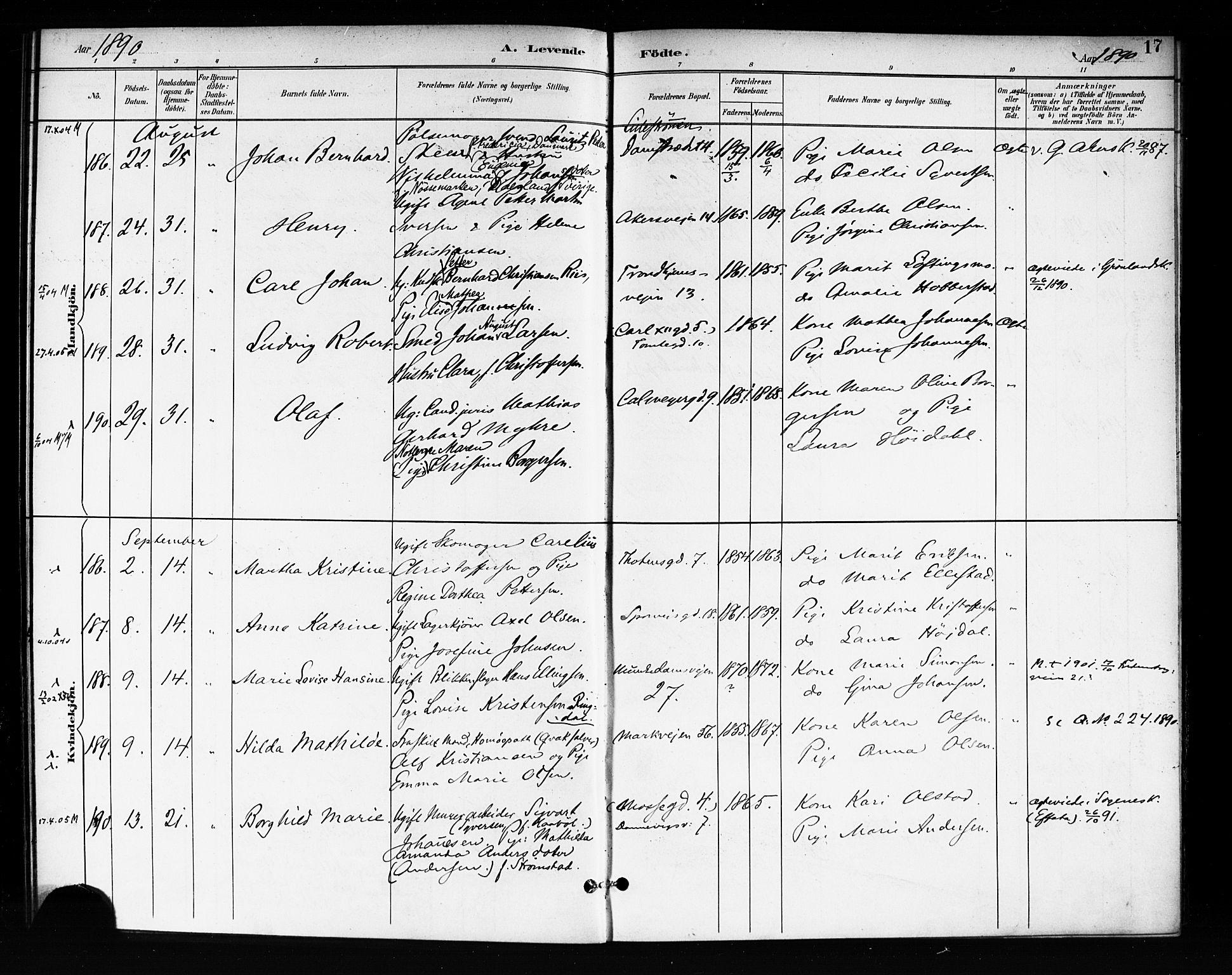 Rikshospitalet prestekontor Kirkebøker, SAO/A-10309b/F/L0008: Parish register (official) no. 8, 1890-1893, p. 17