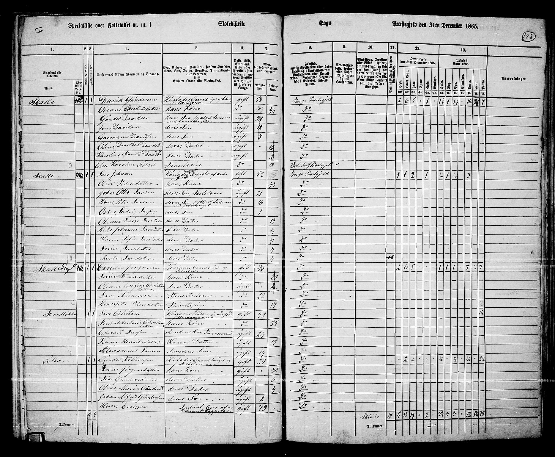 RA, 1865 census for Borge, 1865, p. 128