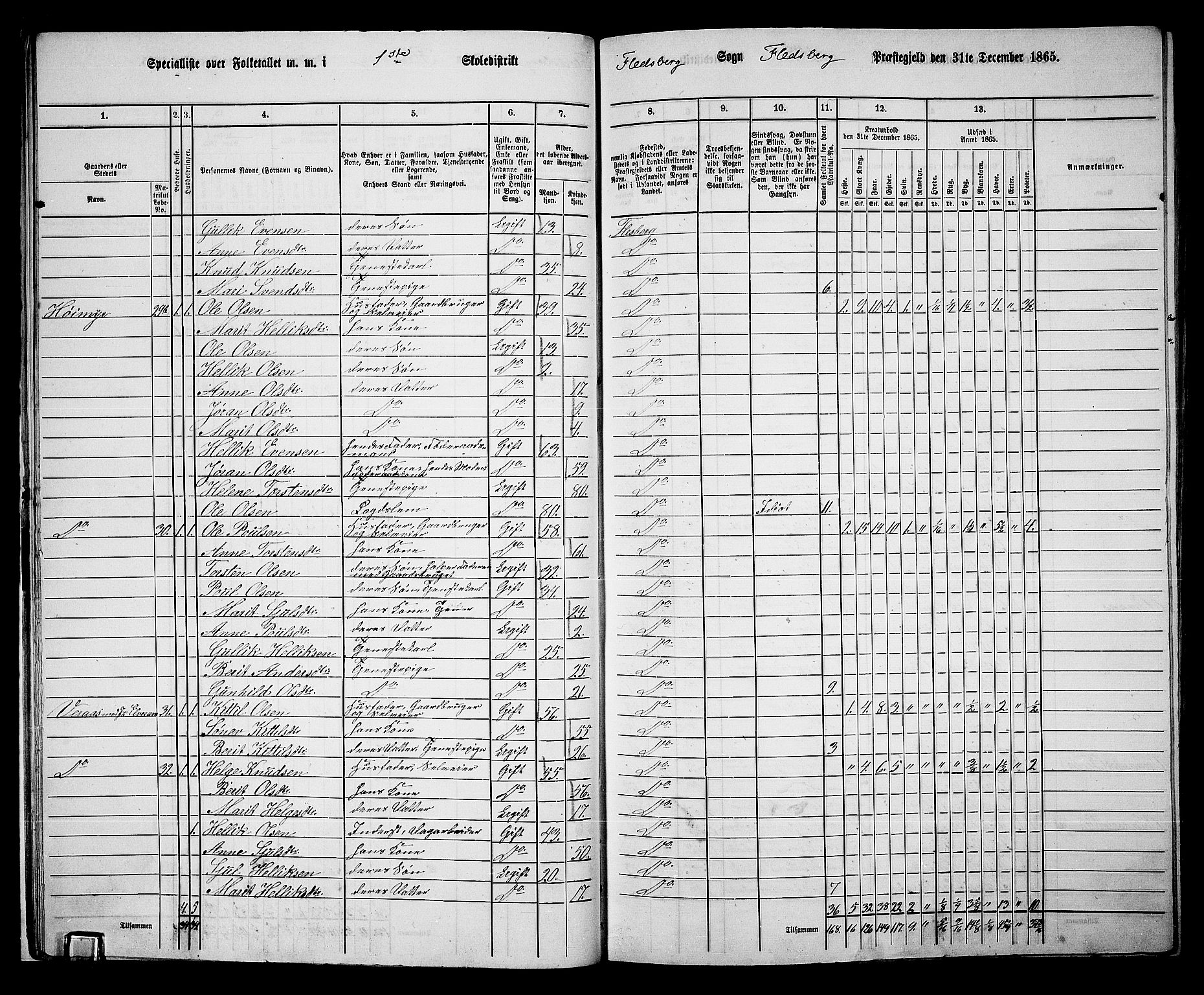 RA, 1865 census for Flesberg, 1865, p. 18