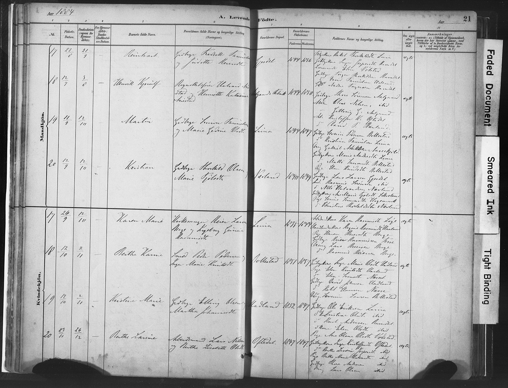 Lye sokneprestkontor, AV/SAST-A-101794/001/30BA/L0010: Parish register (official) no. A 10, 1881-1896, p. 21