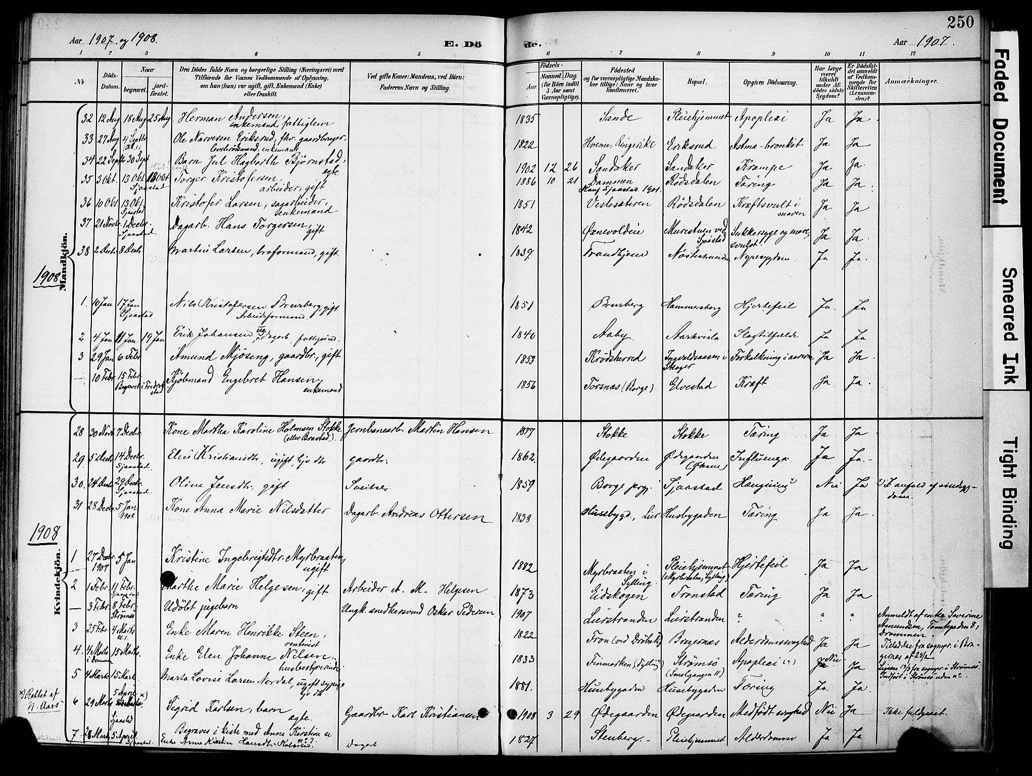 Lier kirkebøker, AV/SAKO-A-230/F/Fa/L0017: Parish register (official) no. I 17, 1901-1908, p. 250