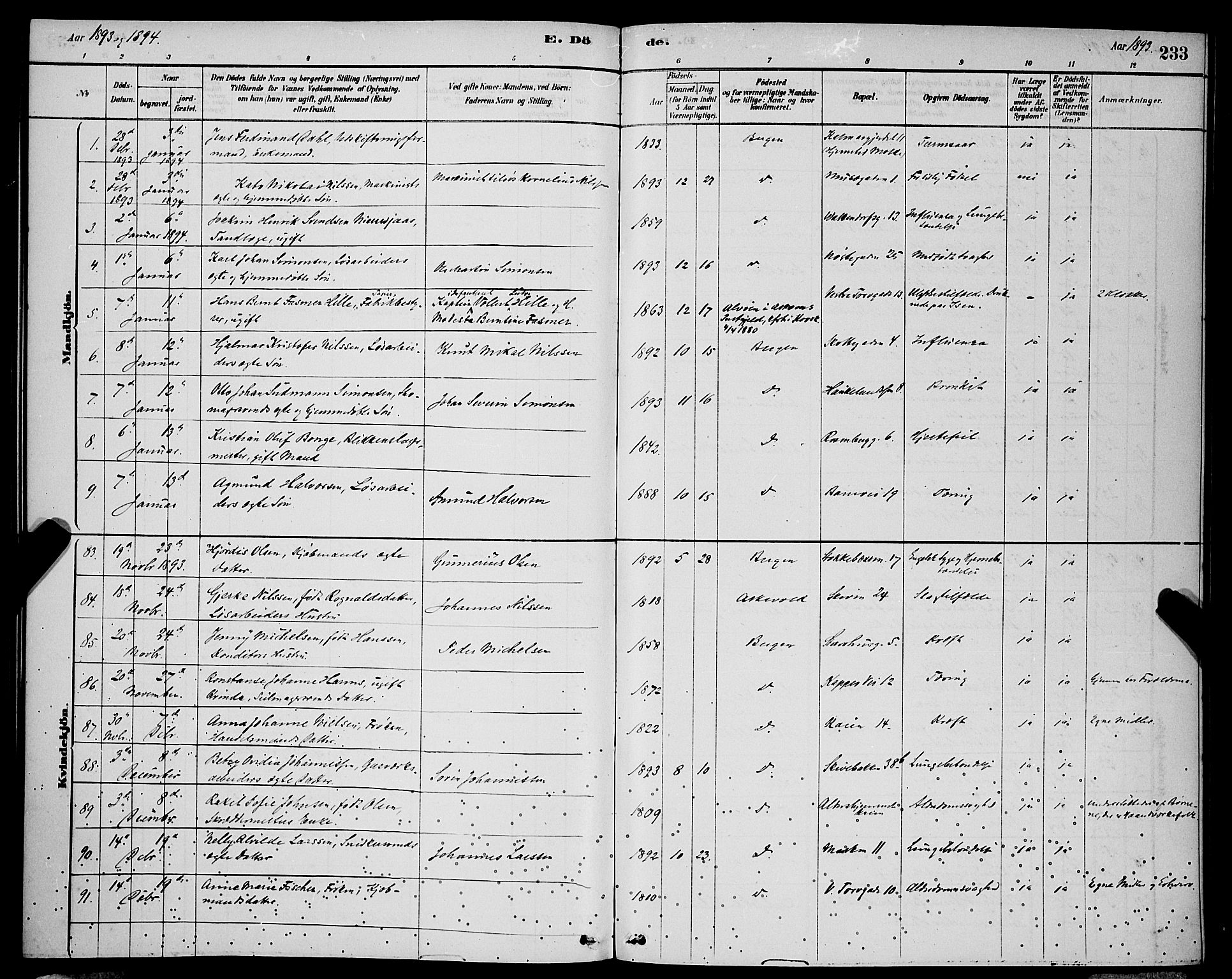 Domkirken sokneprestembete, SAB/A-74801/H/Hab/L0041: Parish register (copy) no. E 5, 1878-1900, p. 233