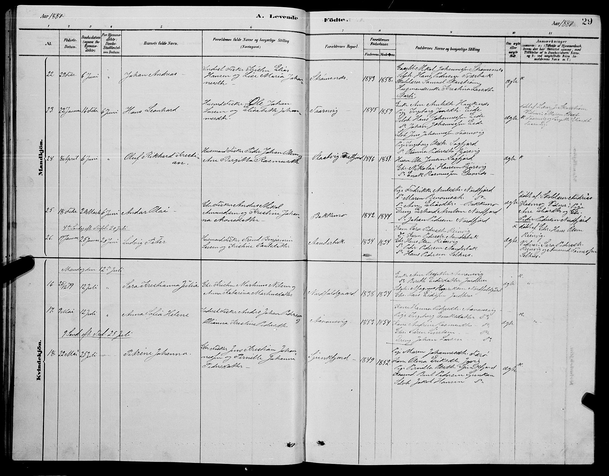 Ministerialprotokoller, klokkerbøker og fødselsregistre - Nordland, AV/SAT-A-1459/853/L0776: Parish register (copy) no. 853C04, 1878-1889, p. 29