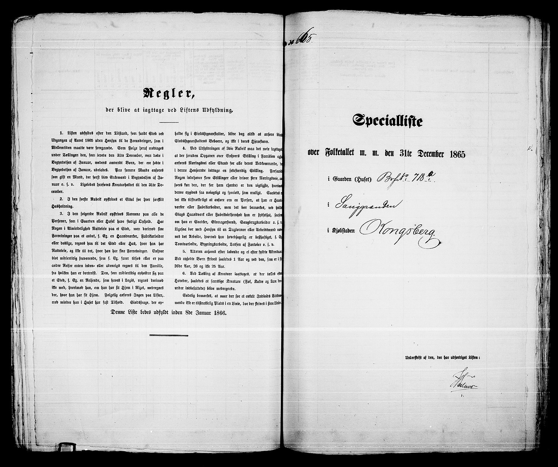 RA, 1865 census for Kongsberg/Kongsberg, 1865, p. 1358