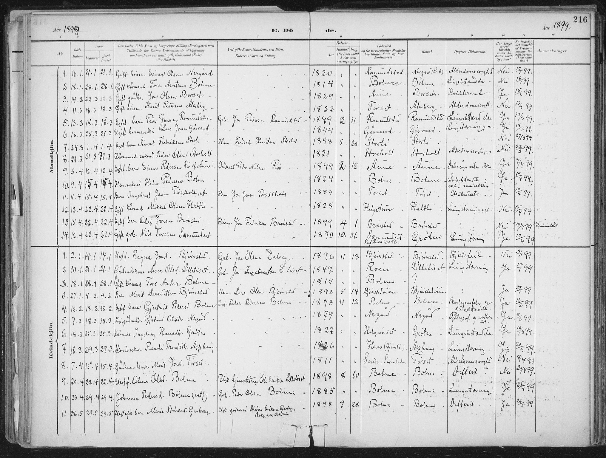 Ministerialprotokoller, klokkerbøker og fødselsregistre - Møre og Romsdal, SAT/A-1454/598/L1072: Parish register (official) no. 598A06, 1896-1910, p. 216