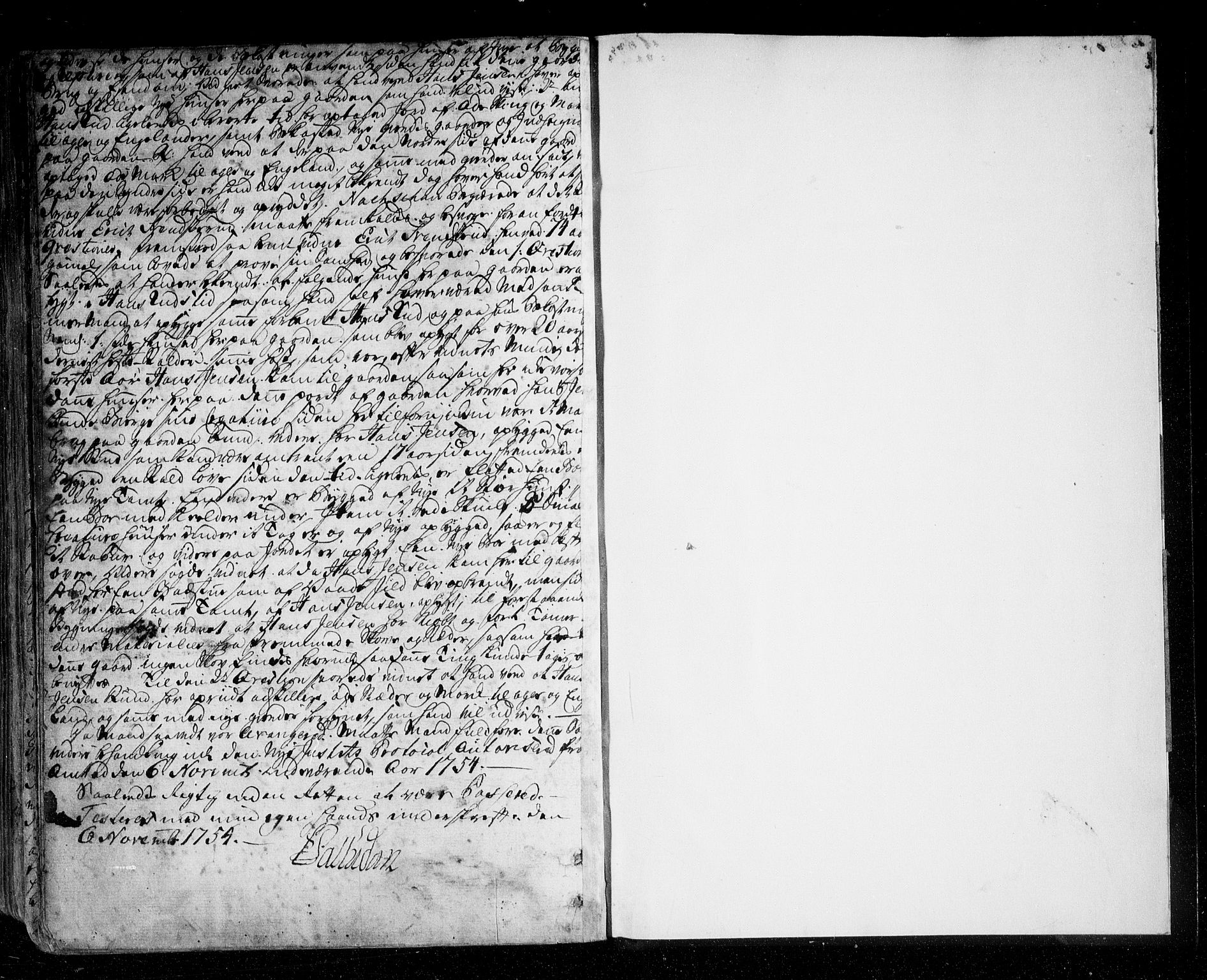 Ringerike og Hallingdal sorenskriveri, AV/SAKO-A-81/F/Fa/Fac/L0003: Tingbok - Ringerike, 1751-1754, p. 461