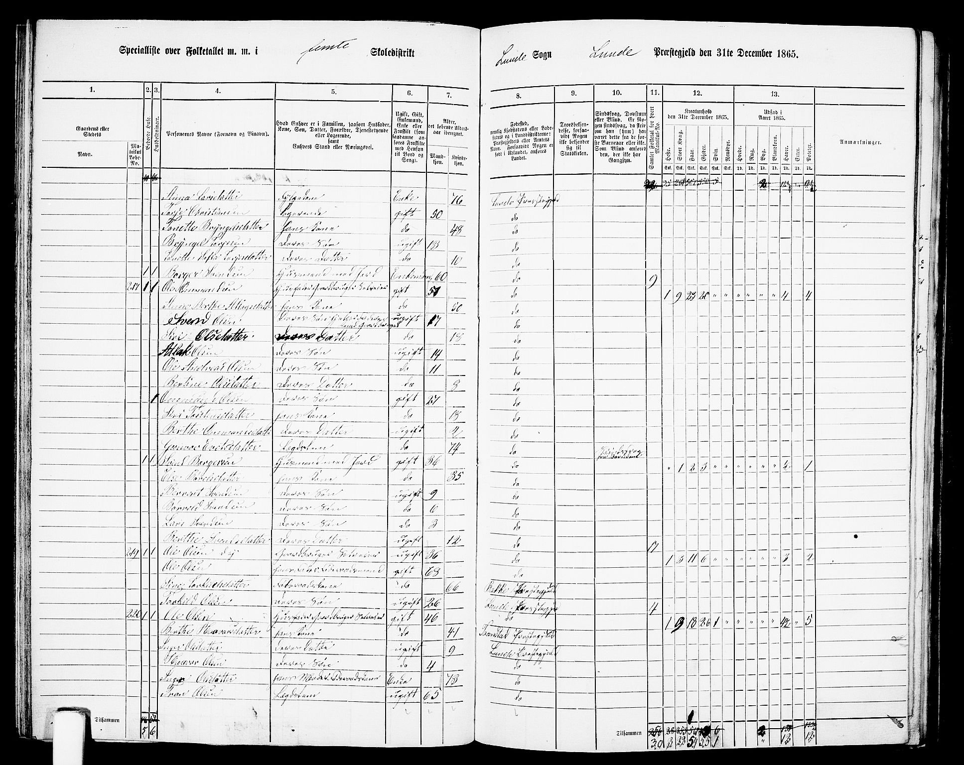 RA, 1865 census for Lund, 1865, p. 69