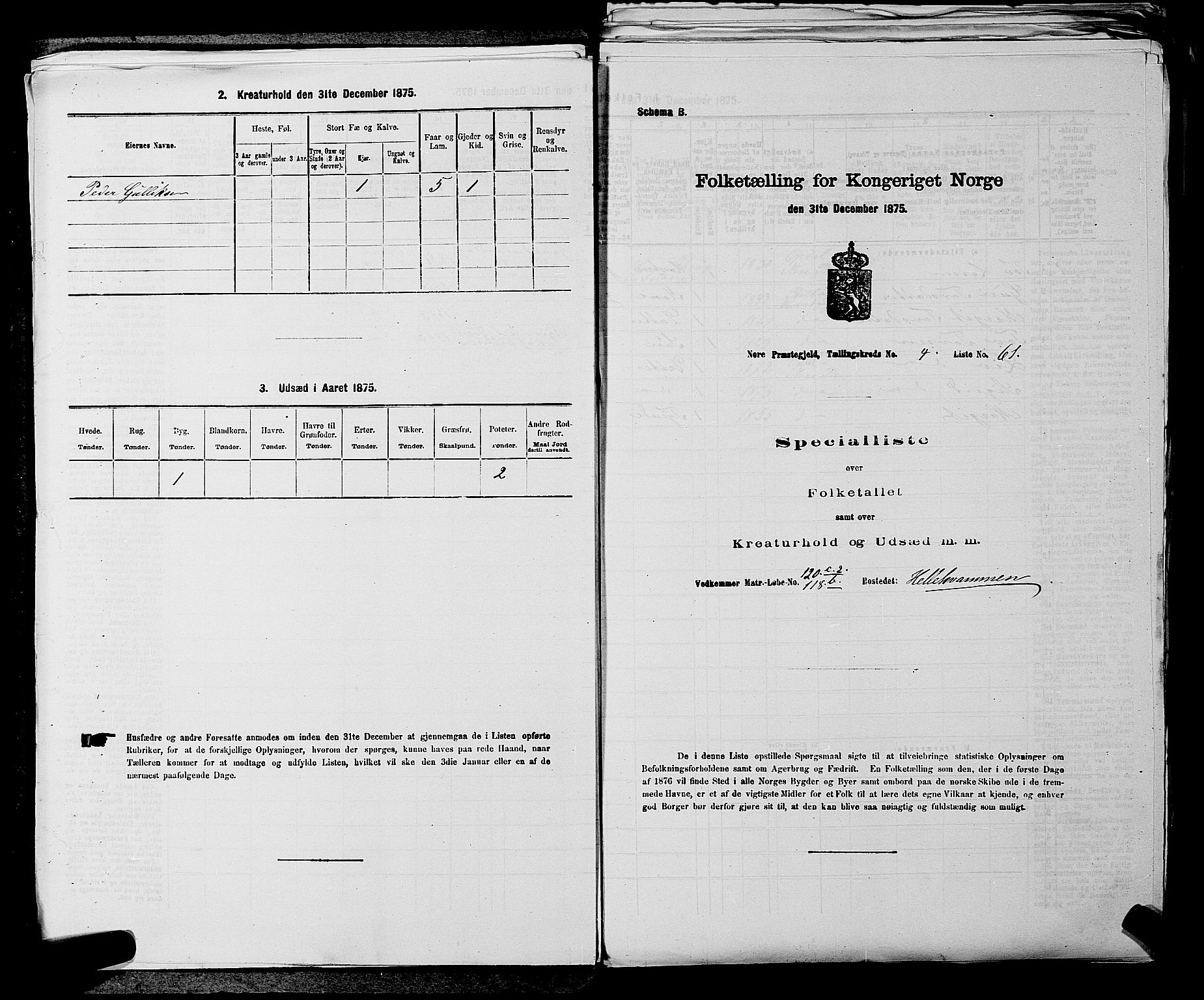 SAKO, 1875 census for 0633P Nore, 1875, p. 498