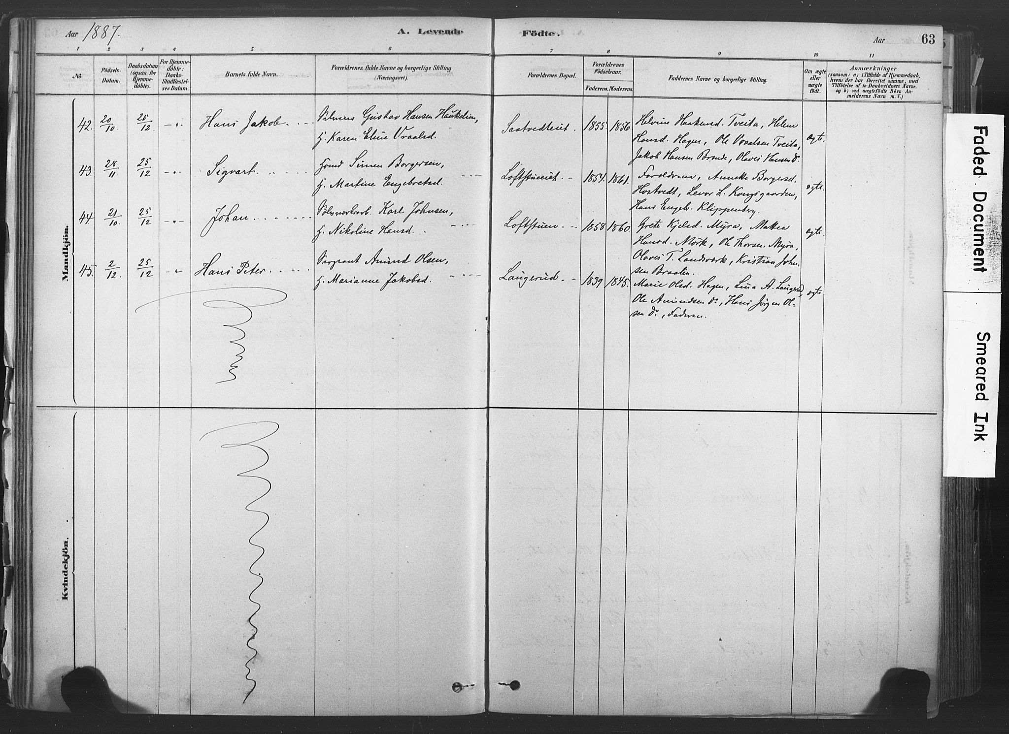 Sandsvær kirkebøker, AV/SAKO-A-244/F/Fd/L0001: Parish register (official) no. IV 1, 1878-1906, p. 63