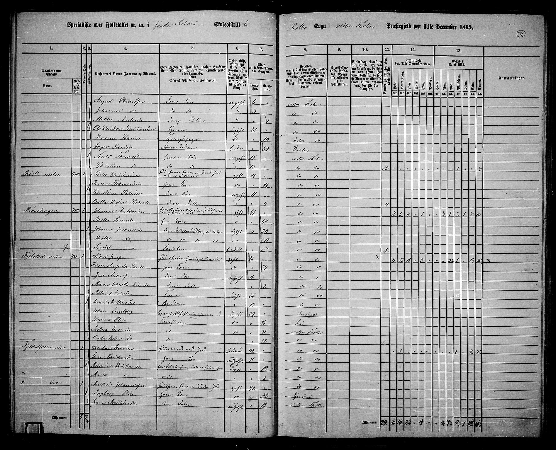 RA, 1865 census for Vestre Toten, 1865, p. 225