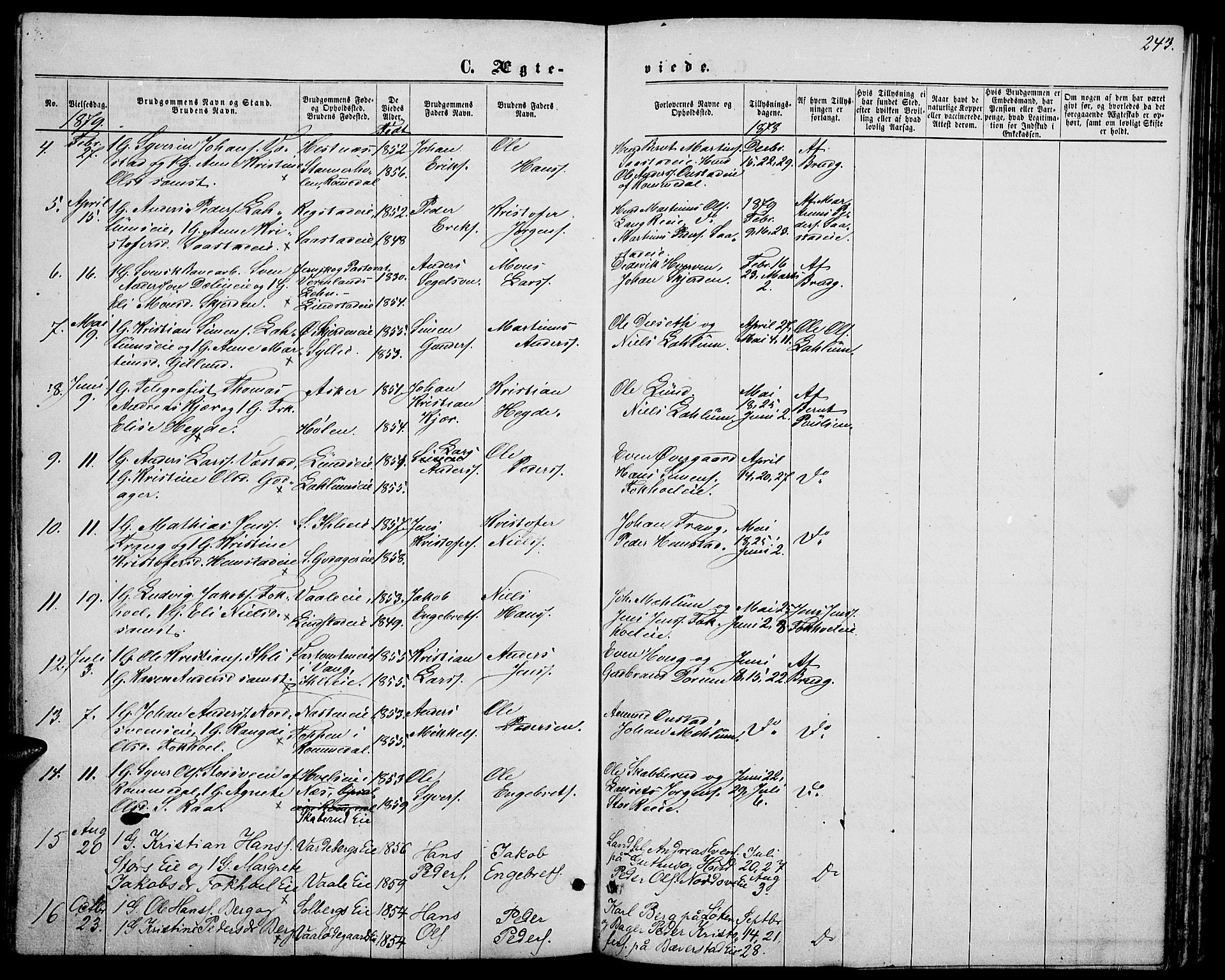 Stange prestekontor, AV/SAH-PREST-002/L/L0006: Parish register (copy) no. 6, 1864-1882, p. 243