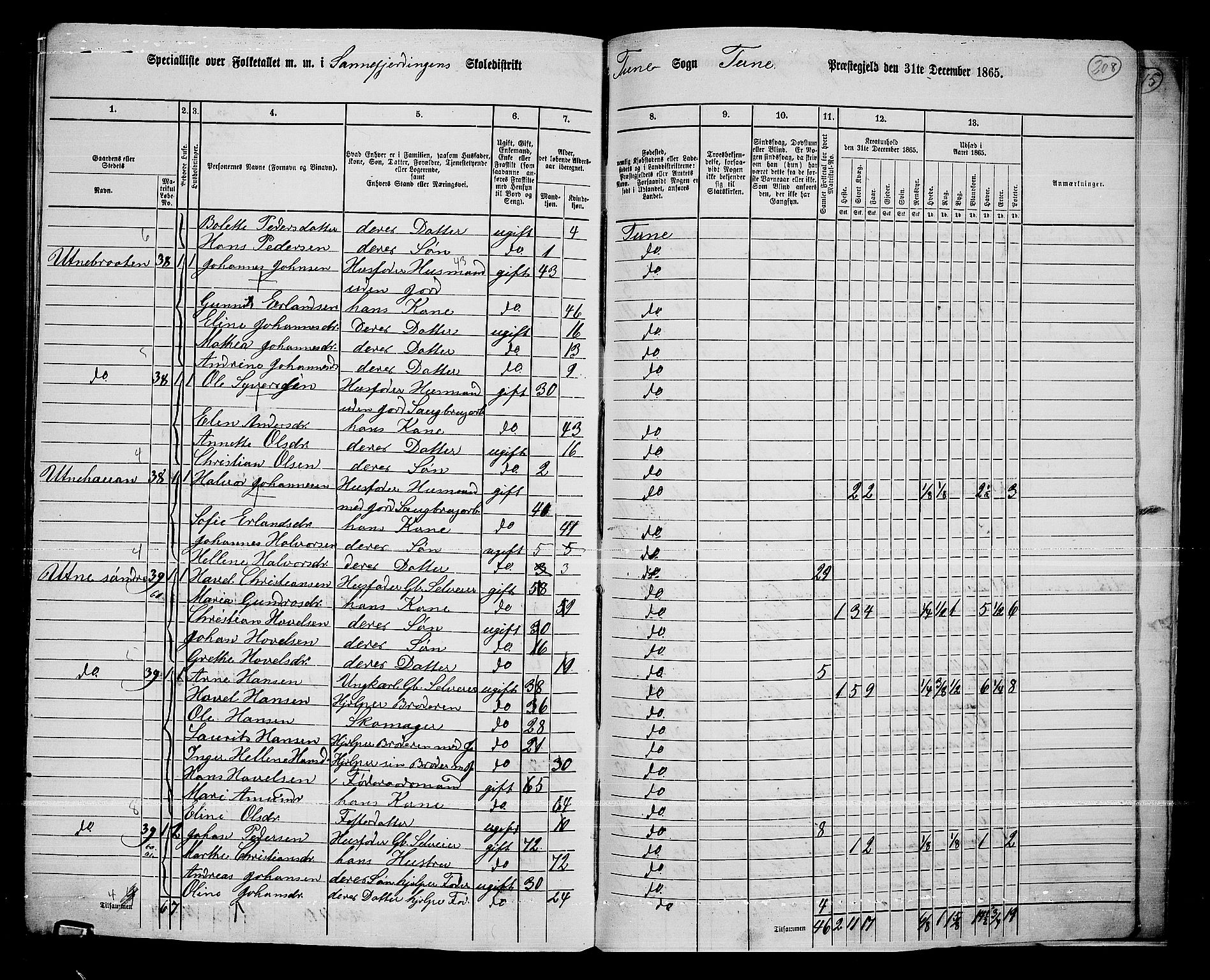 RA, 1865 census for Tune, 1865, p. 276