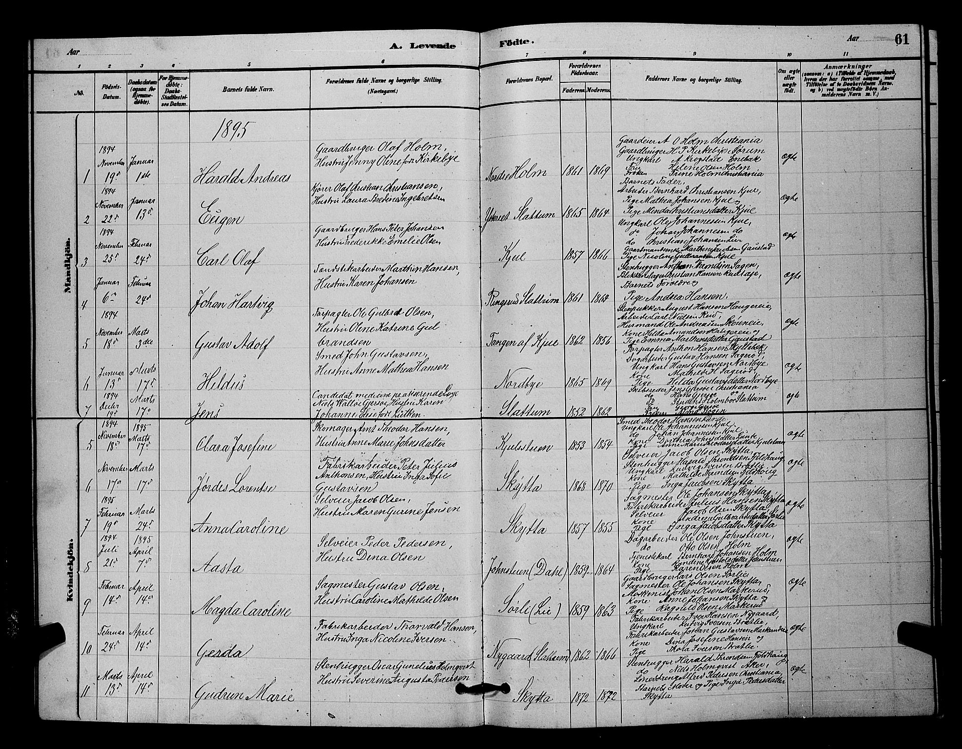Nittedal prestekontor Kirkebøker, AV/SAO-A-10365a/G/Ga/L0002: Parish register (copy) no. I 2, 1879-1901, p. 61