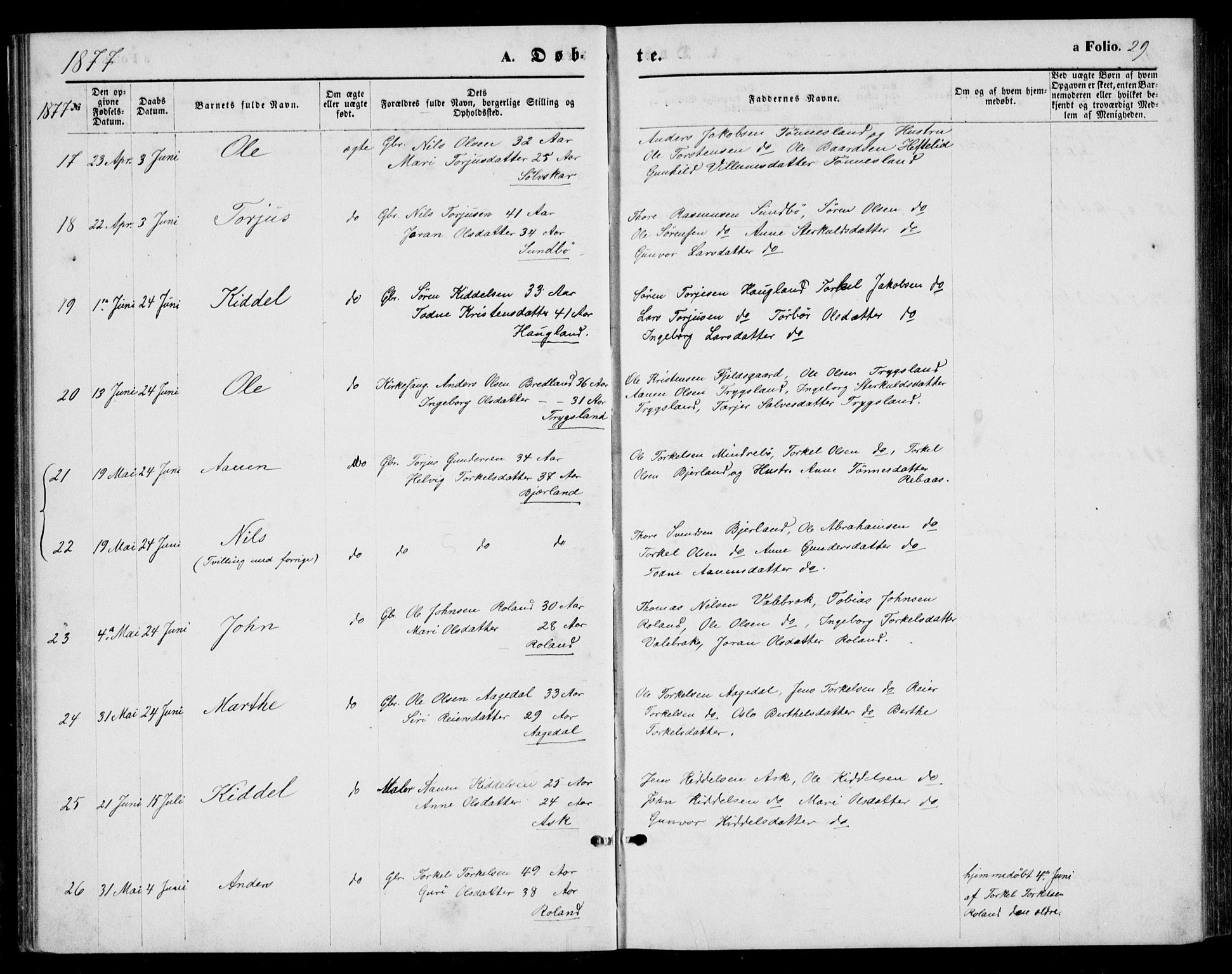 Bjelland sokneprestkontor, AV/SAK-1111-0005/F/Fb/Fba/L0004: Parish register (copy) no. B 4, 1869-1886, p. 29