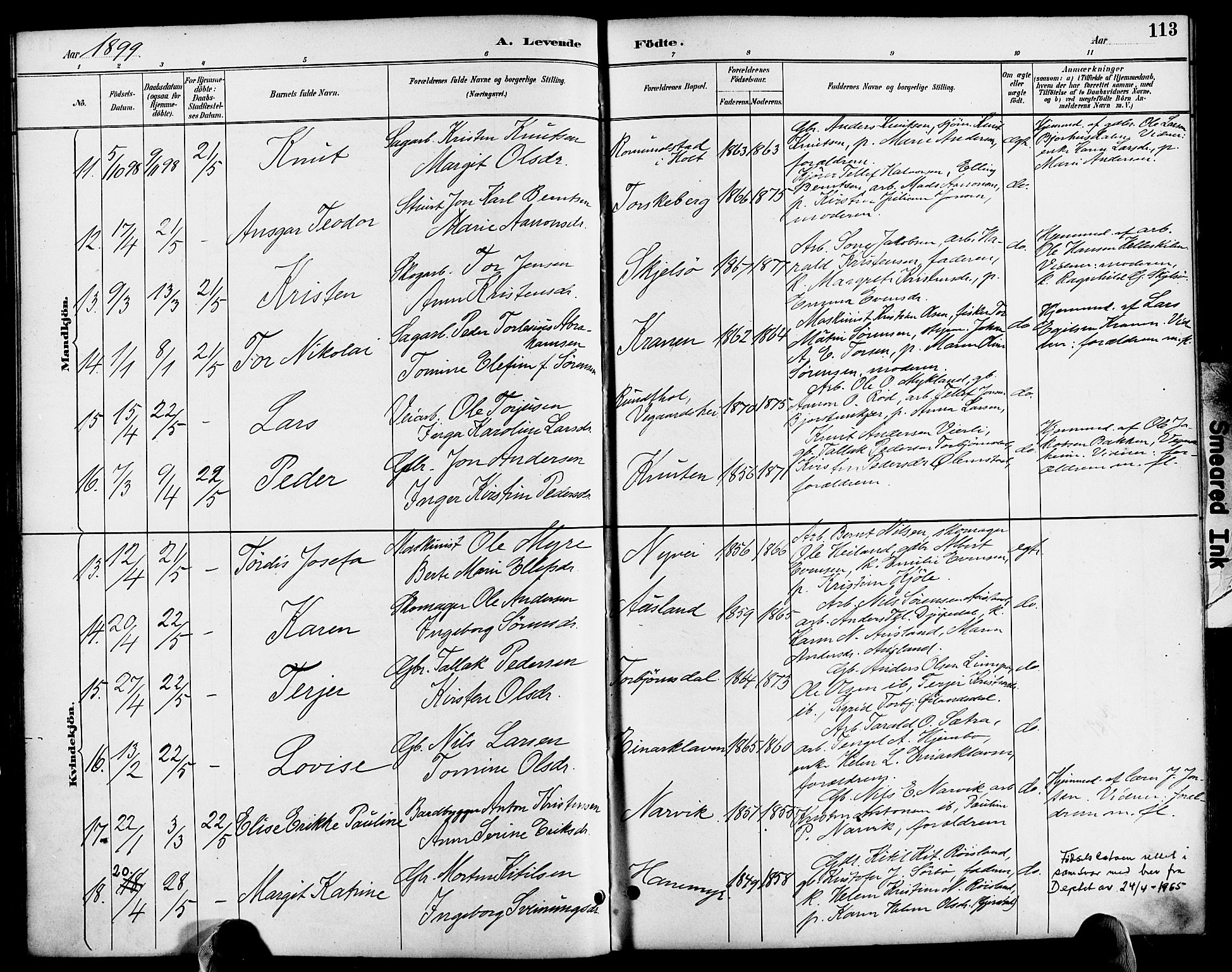 Søndeled sokneprestkontor, AV/SAK-1111-0038/F/Fa/L0005: Parish register (official) no. A 5, 1889-1899, p. 113