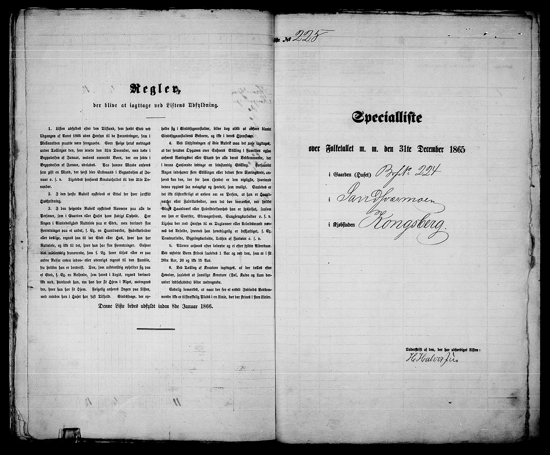 RA, 1865 census for Kongsberg/Kongsberg, 1865, p. 462