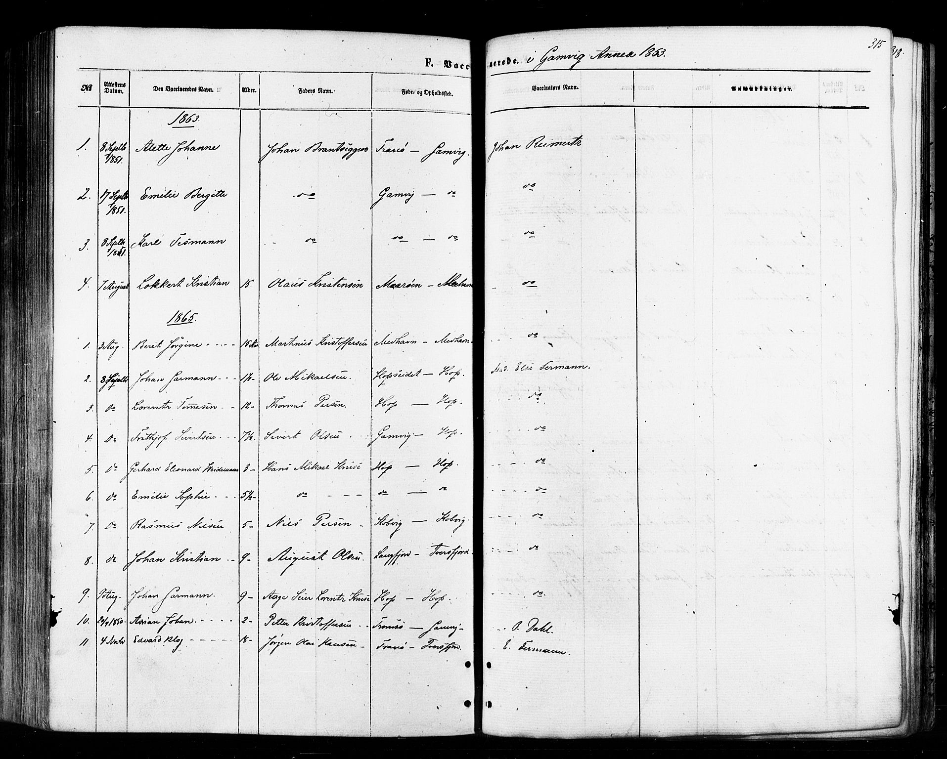 Tana sokneprestkontor, SATØ/S-1334/H/Ha/L0002kirke: Parish register (official) no. 2 /2, 1862-1877, p. 315