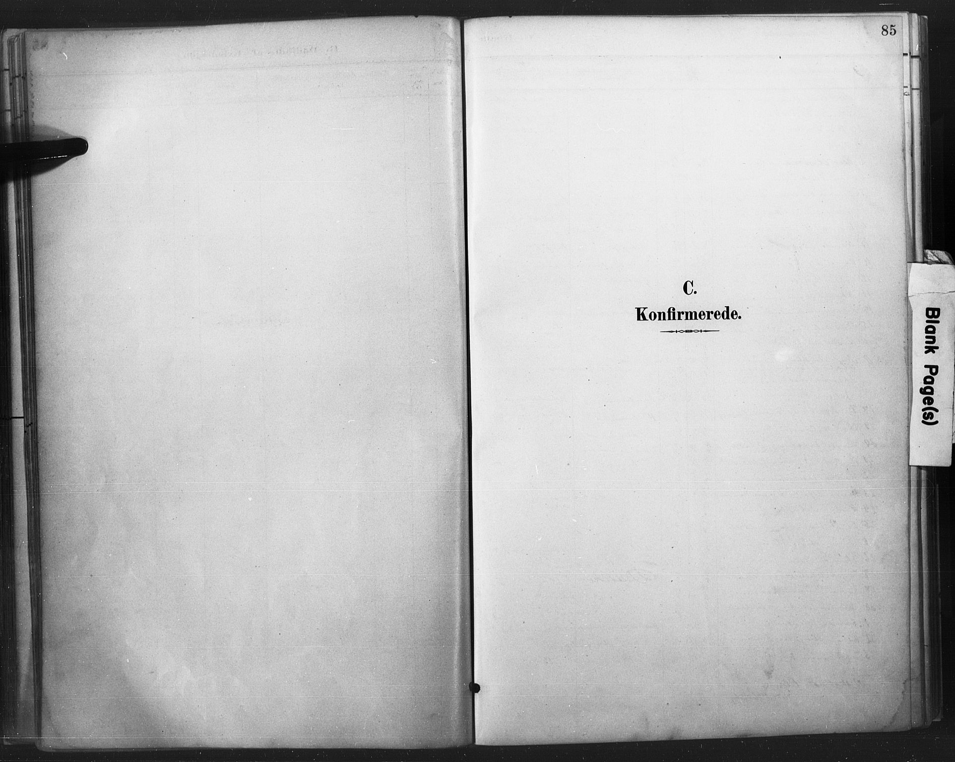 Flekkefjord sokneprestkontor, SAK/1111-0012/F/Fa/Fab/L0006: Parish register (official) no. A 6, 1886-1901, p. 85