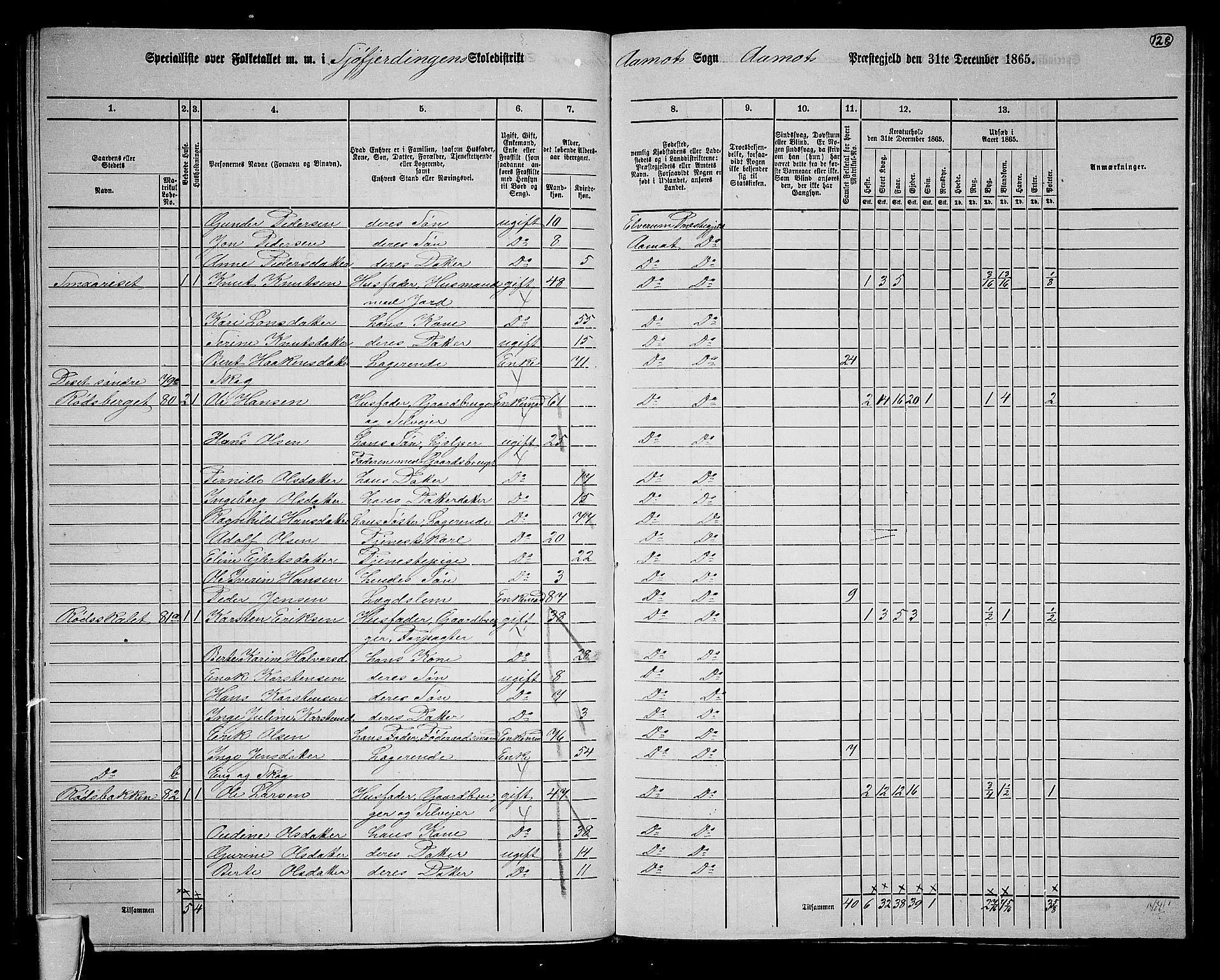 RA, 1865 census for Åmot, 1865, p. 117