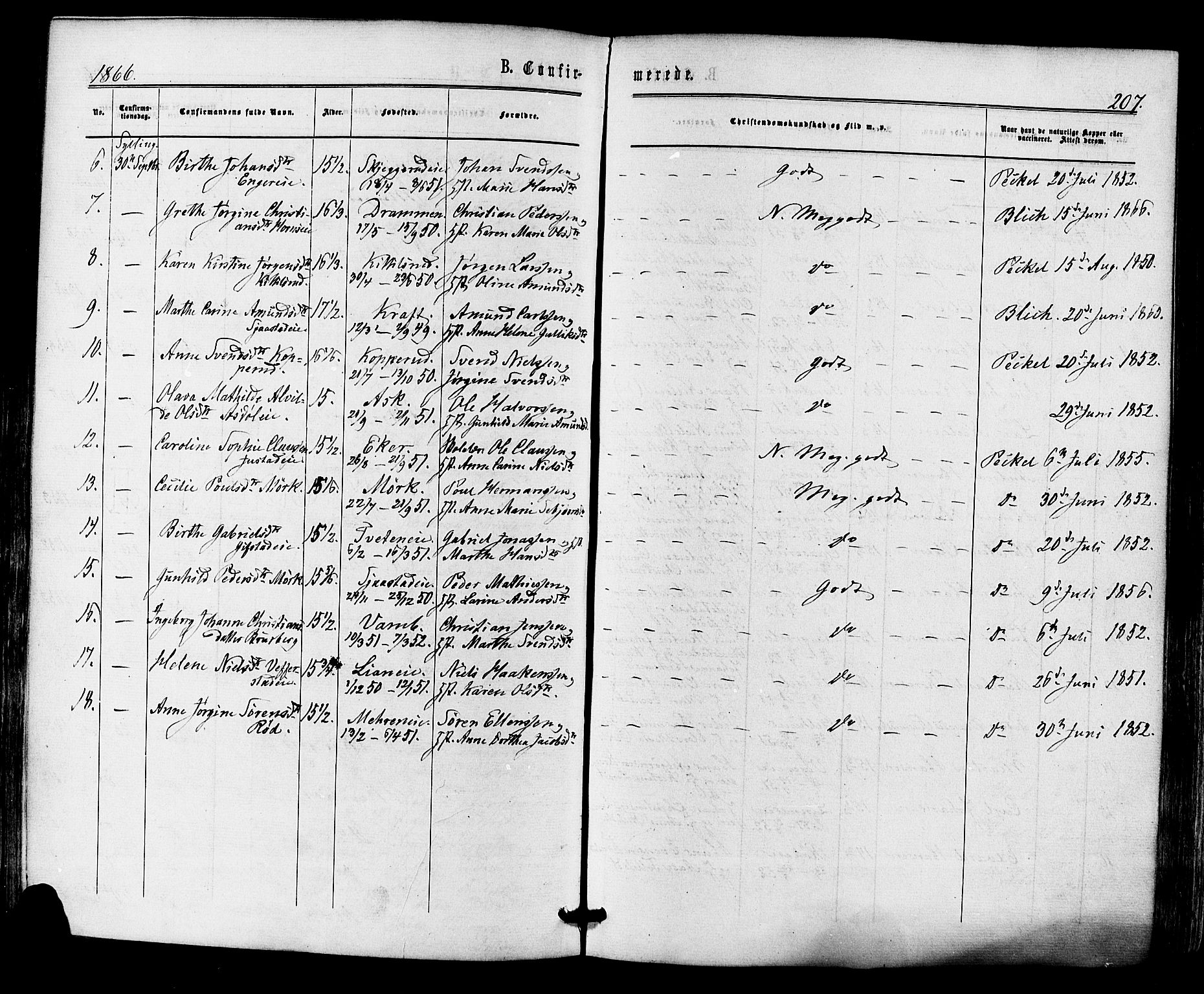 Lier kirkebøker, SAKO/A-230/F/Fa/L0013: Parish register (official) no. I 13, 1865-1874, p. 207
