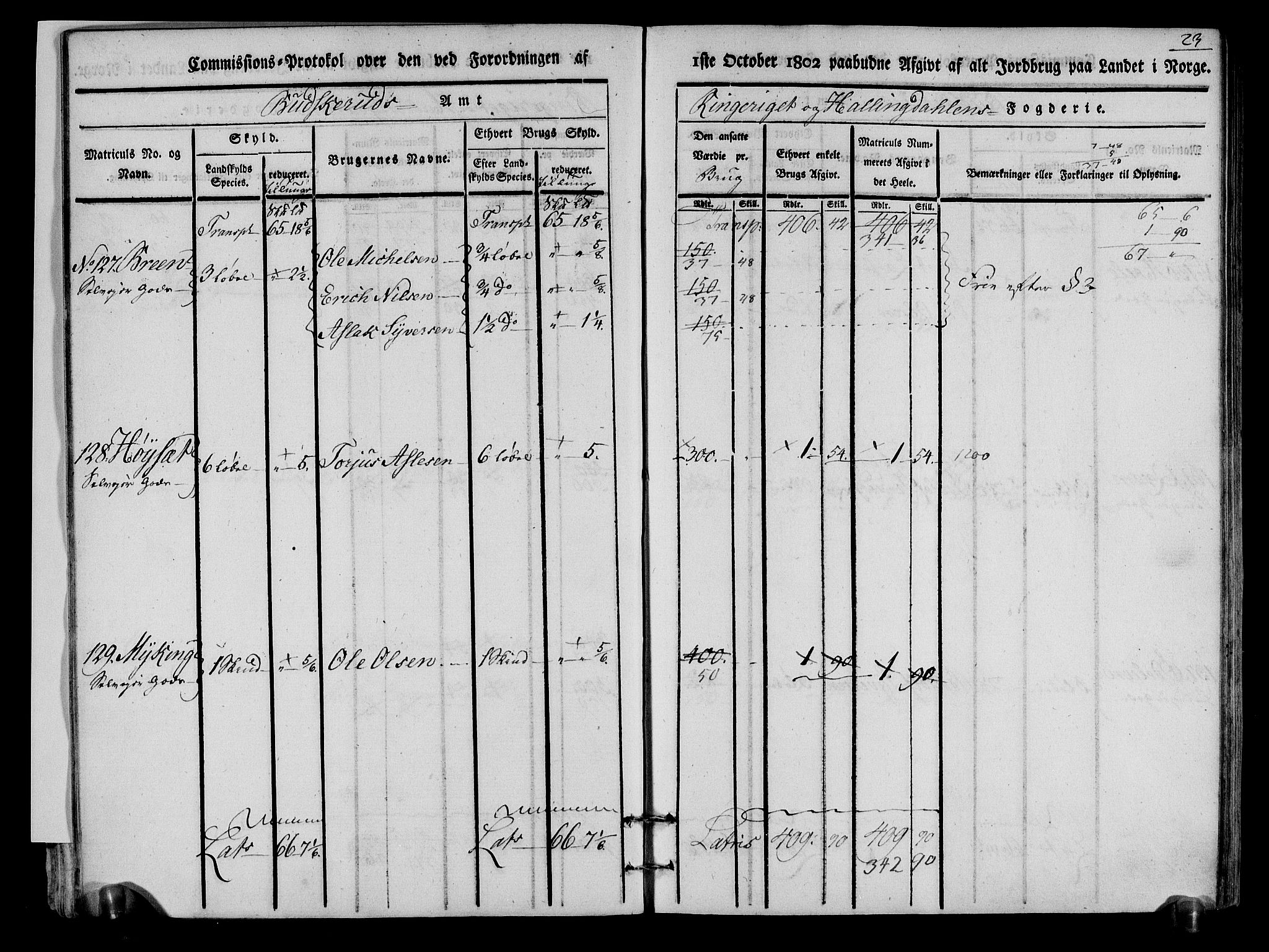 Rentekammeret inntil 1814, Realistisk ordnet avdeling, AV/RA-EA-4070/N/Ne/Nea/L0048: Ringerike og Hallingdal fogderi. Kommisjonsprotokoll for Ål prestegjeld, 1803, p. 25